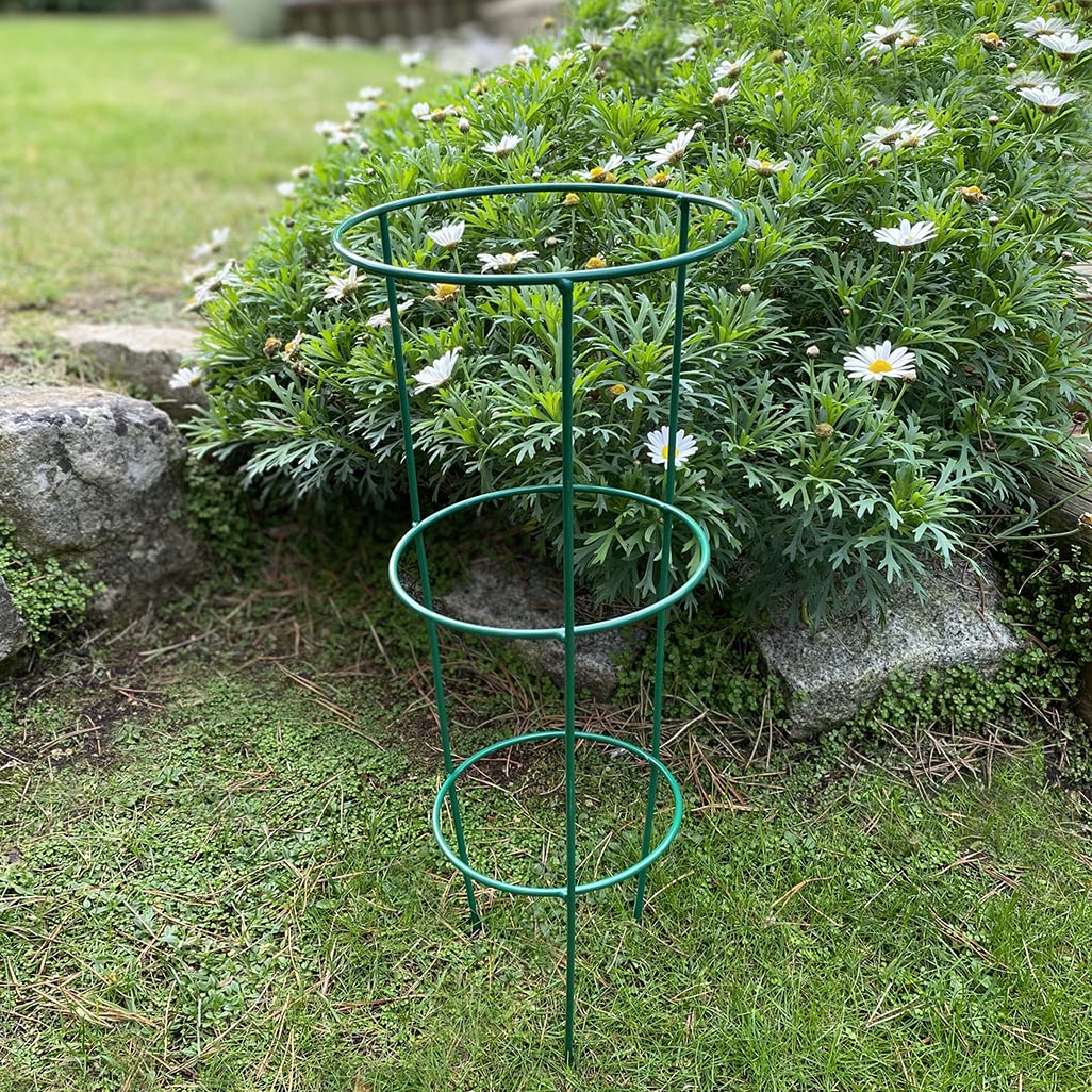 Selections Pack of 5 (48 Centimeter) Conical Garden Plant Support Rings