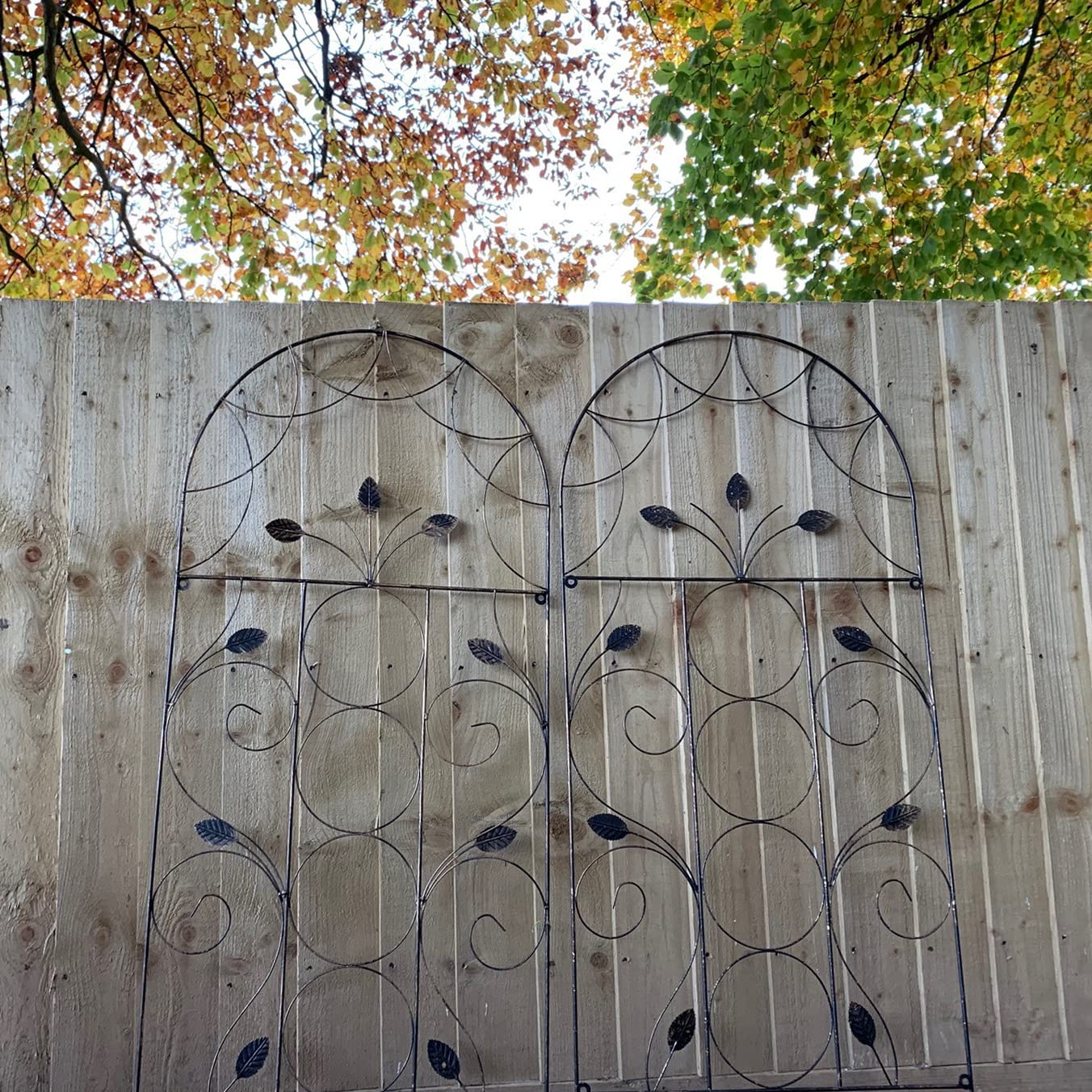 Selections Pack of 2 x Leaf Design Metal Garden Trellis (120 x 50 Centimeter)