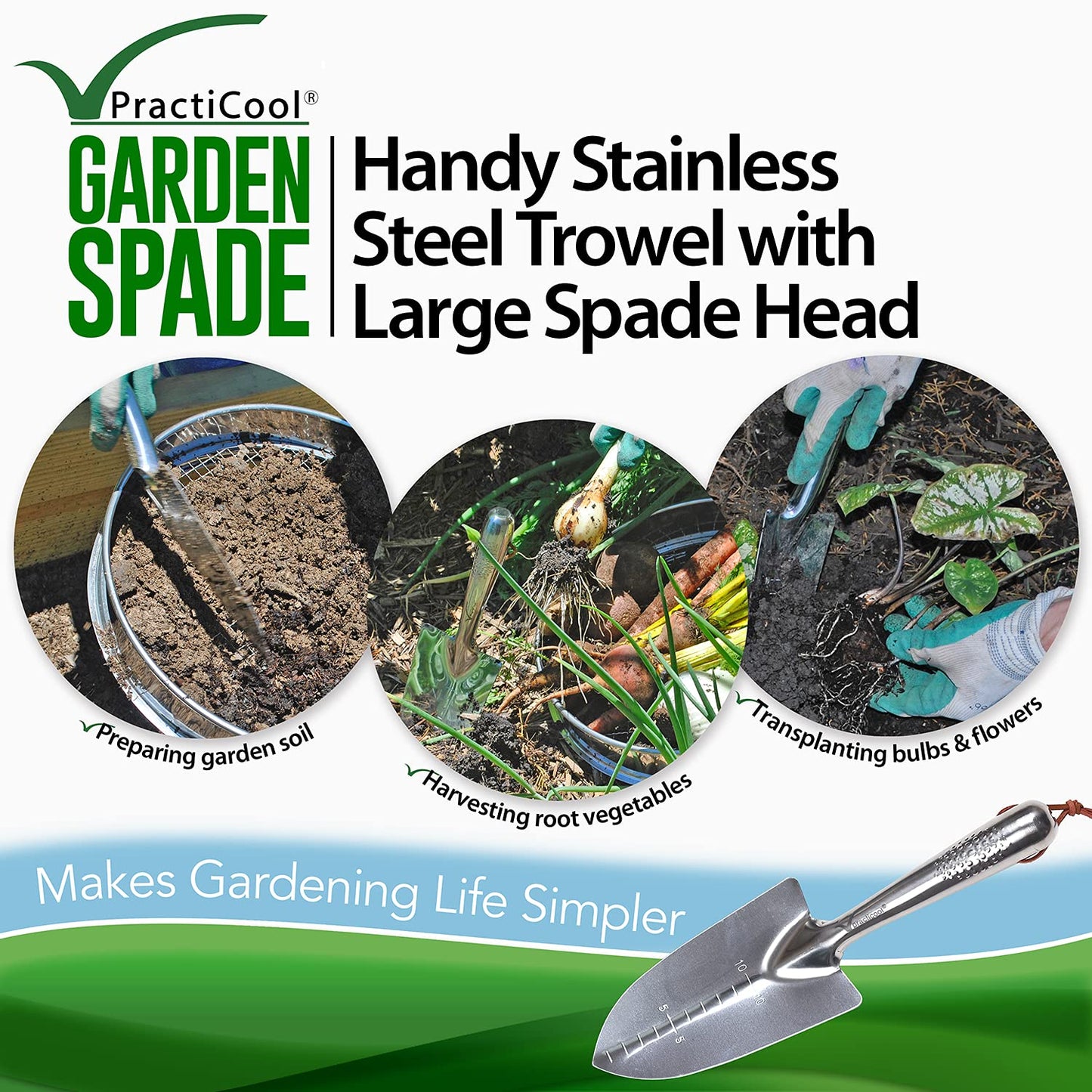 Practicool Garden Hand Transplanter Trowel Hand Spade Shovel - Stainless Steel – with Measurements, Ideal for potting, transplanting, planting seeds and Bonsai