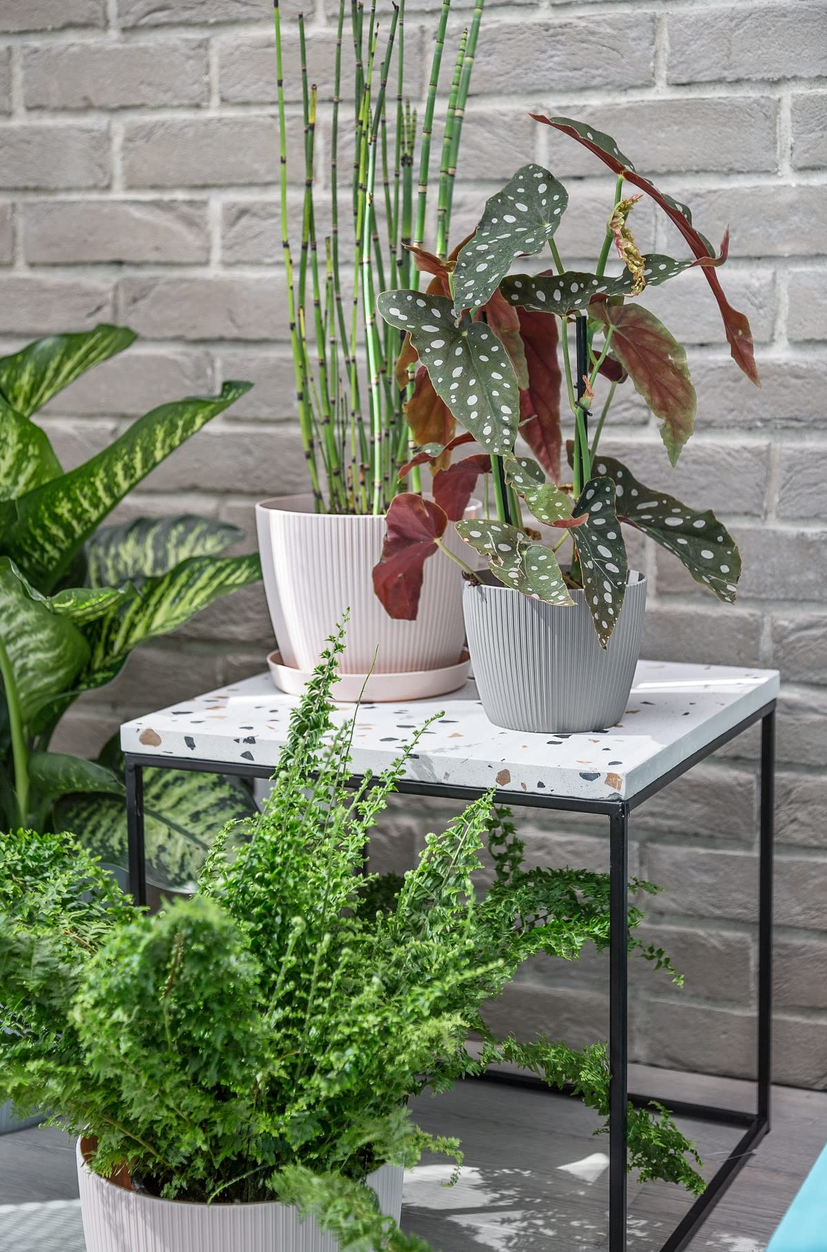 Home Garden Ornaments Plant Pots Indoor 15.5cm Diameter – Round and Plastic Plant Pot of Light Grey Colour – Striped Flower Pot – Decorative Flower Pots Outside (Ø15.5cm, Light Grey)