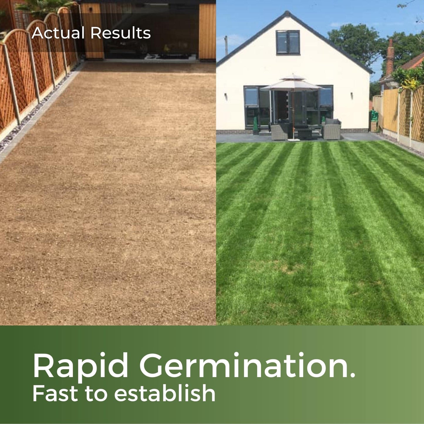 Pitch Perfect - Rye Grass Seed Sports Mix - Ultra Hard Wearing & Fast Growing - Garden Lawncare Guy 5kg