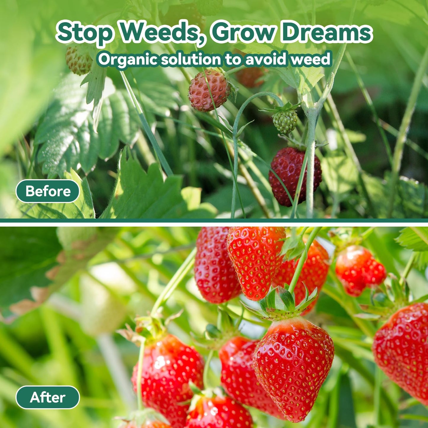 Domusensus 2m x 25m Heavy Duty Weed Control Membrane Garden 50㎡ Weed Control Barrier Fabric Landscape for Vegetable Garden, Garden, Water Permeable Fabric,Black Woven Ground Cover