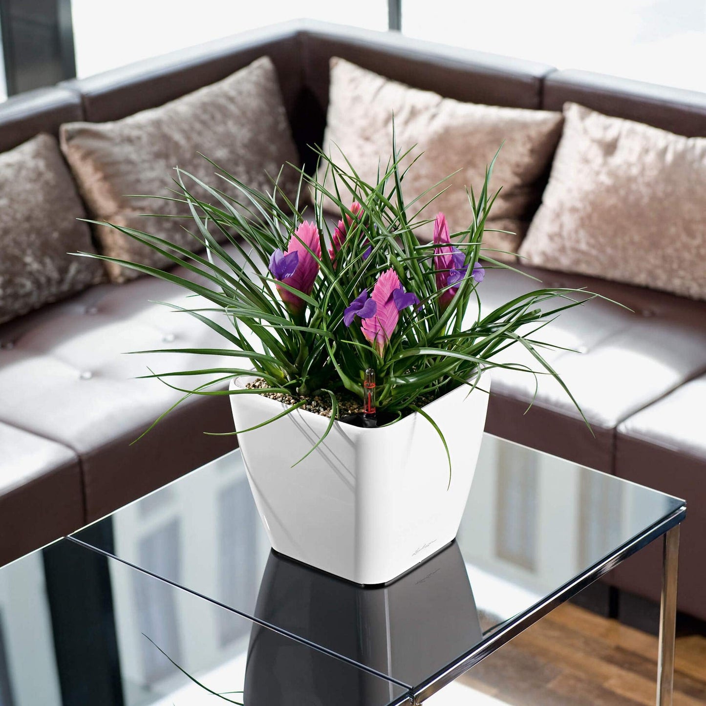 Lechuza Self Watering Plant Pot QUADRO LS 21 Garden Flower Indoor and Outdoor Plastic Small Planter with Drainage Hole H20 L21 W21 cm White High-Gloss