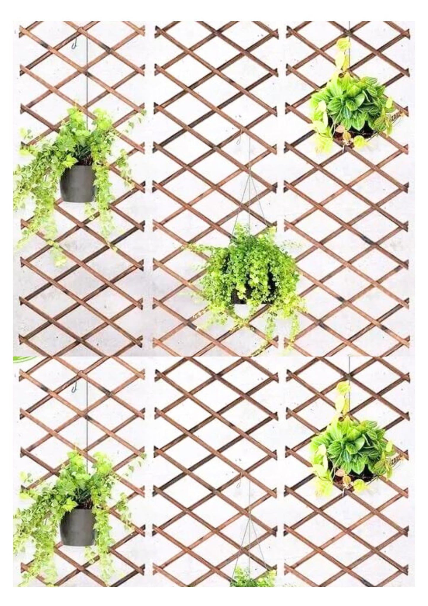 Garden Mile Set of 3 Expanding Wooden Trellis Panels for Garden, Lightweight Lattice Fence Panel, Garden Trellis for Climbing Plants Outdoor - Heavy Duty Durable Flexible Wood Weatherproof - 6ft x 1ft