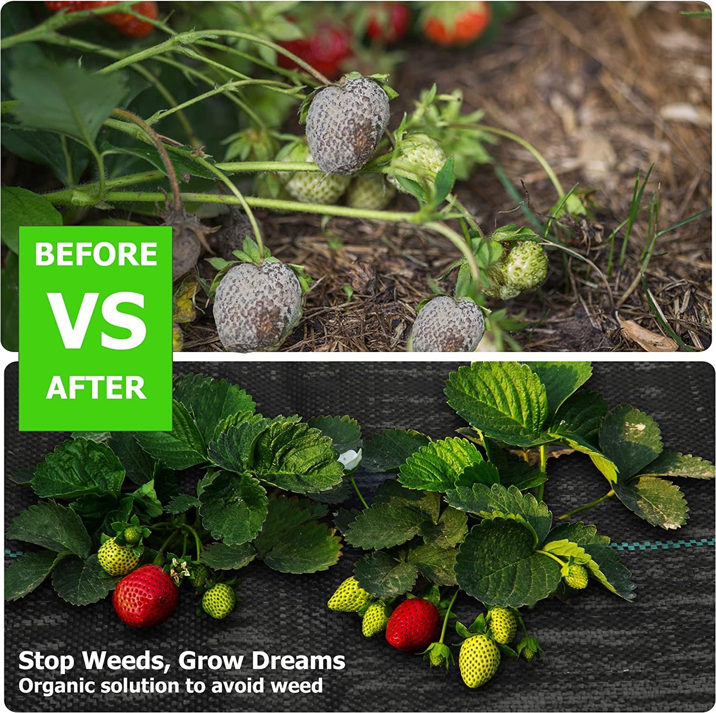 Weed Membrane Black Plastic Sheeting - Heavy Duty Black 1Mx10M Weed Barrier Fabric Weed Suppressant Landscape Ground Cover For Garden Raised Bed Cover Flower Bed Planter Lining - Weed Control Membrane