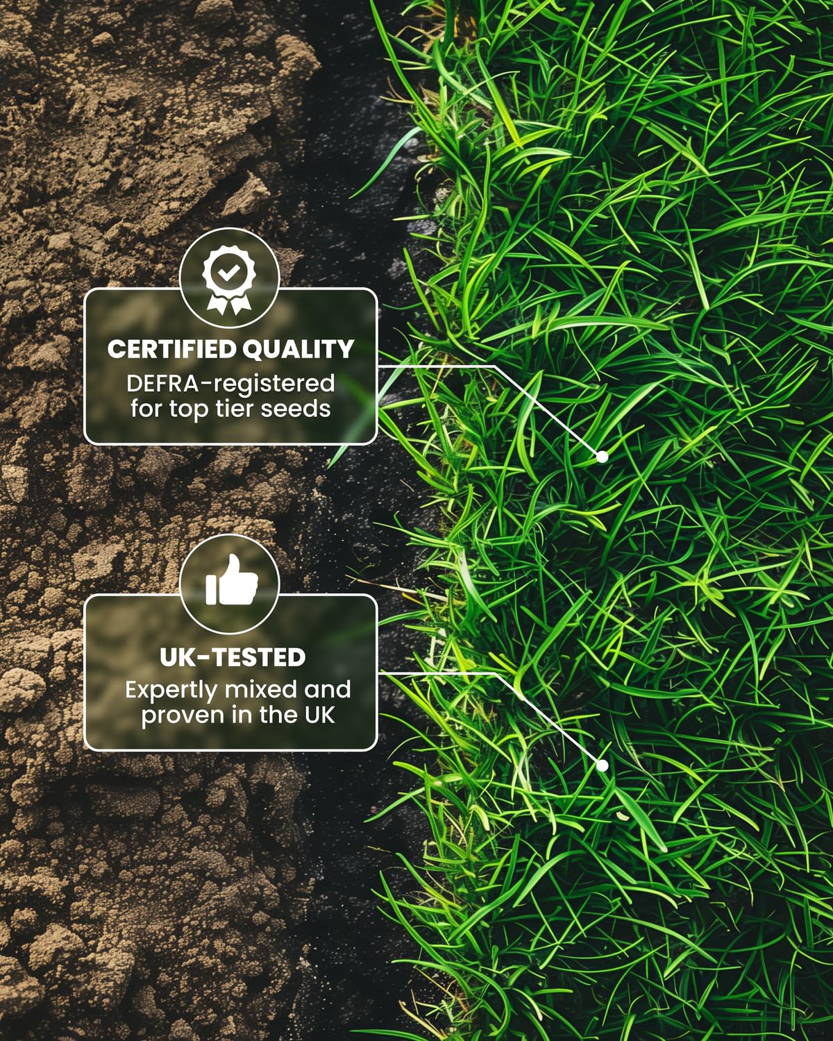 Grassias Fast Growing Grass Seed – 1.70KG Premium Quality Lawn Seed for Overseeding & New Lawns – Hard Wearing & Pet Friendly - Perfect for UK Lawns - Winter & Defra Approved