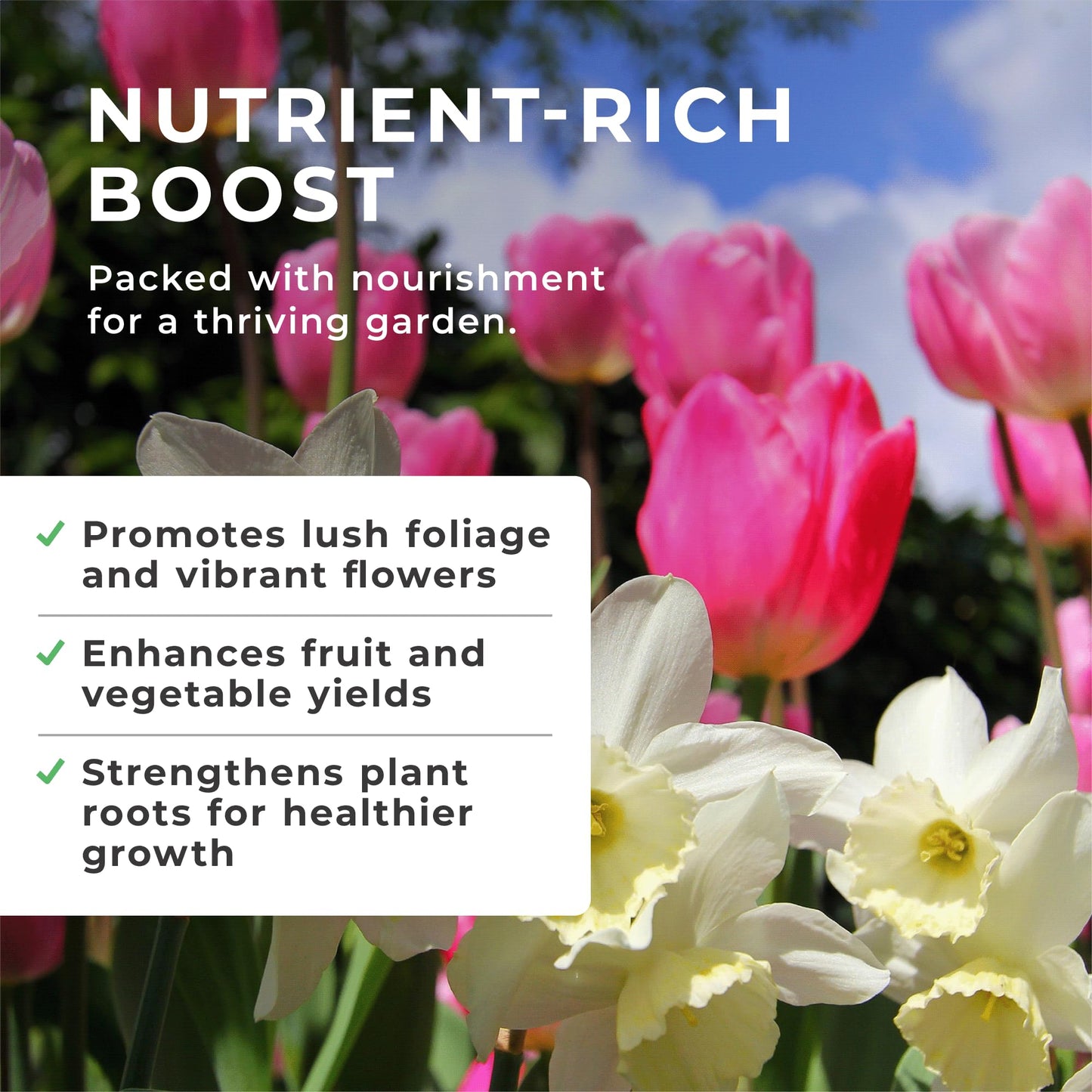 Grow Chem Fish, Blood & Bone Fertiliser (1KG Bucket) Multi-Purpose – Organic Fertiliser for Plants & Lawns – Nutrient-Packed, Easy-Apply Plant Food for Strong Healthy Produce, Flowers & Lawns