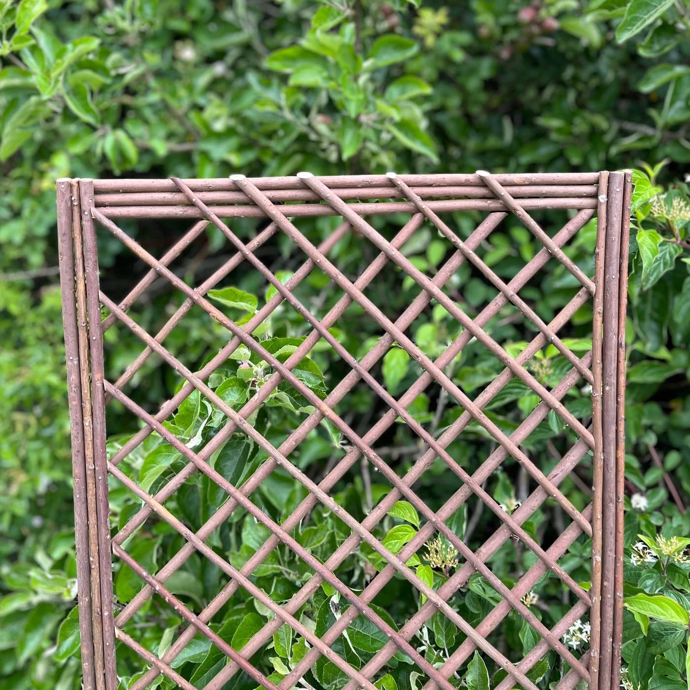 Selections Pack of 3 Willow Trellis Framed Panel (120 x 45 Centimeter)