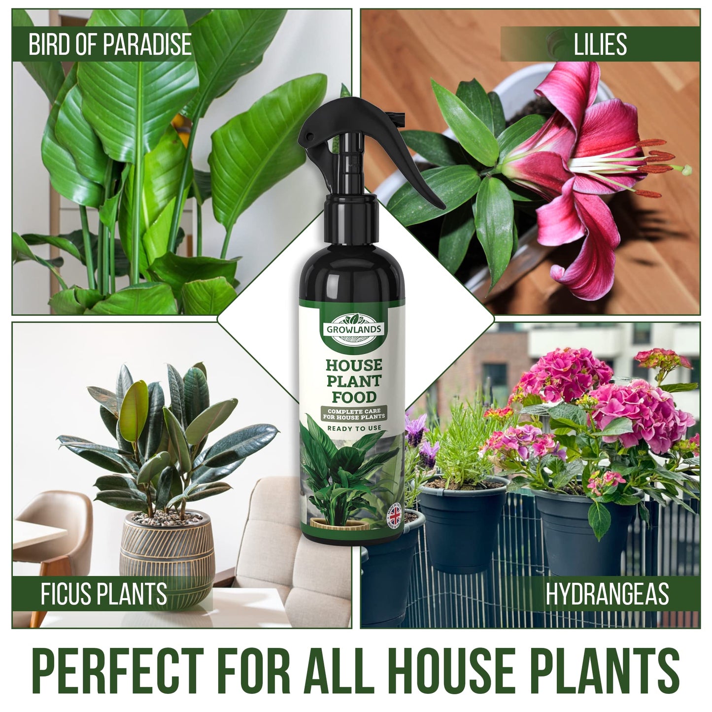 Growlands Indoor House Plant Food - 300 ml - Indoor Plant Liquid Spray Fertilizer - Designed For Use on All Indoor Plants - Fertilizer for Indoor Plants - Ready to Use Mist Spray