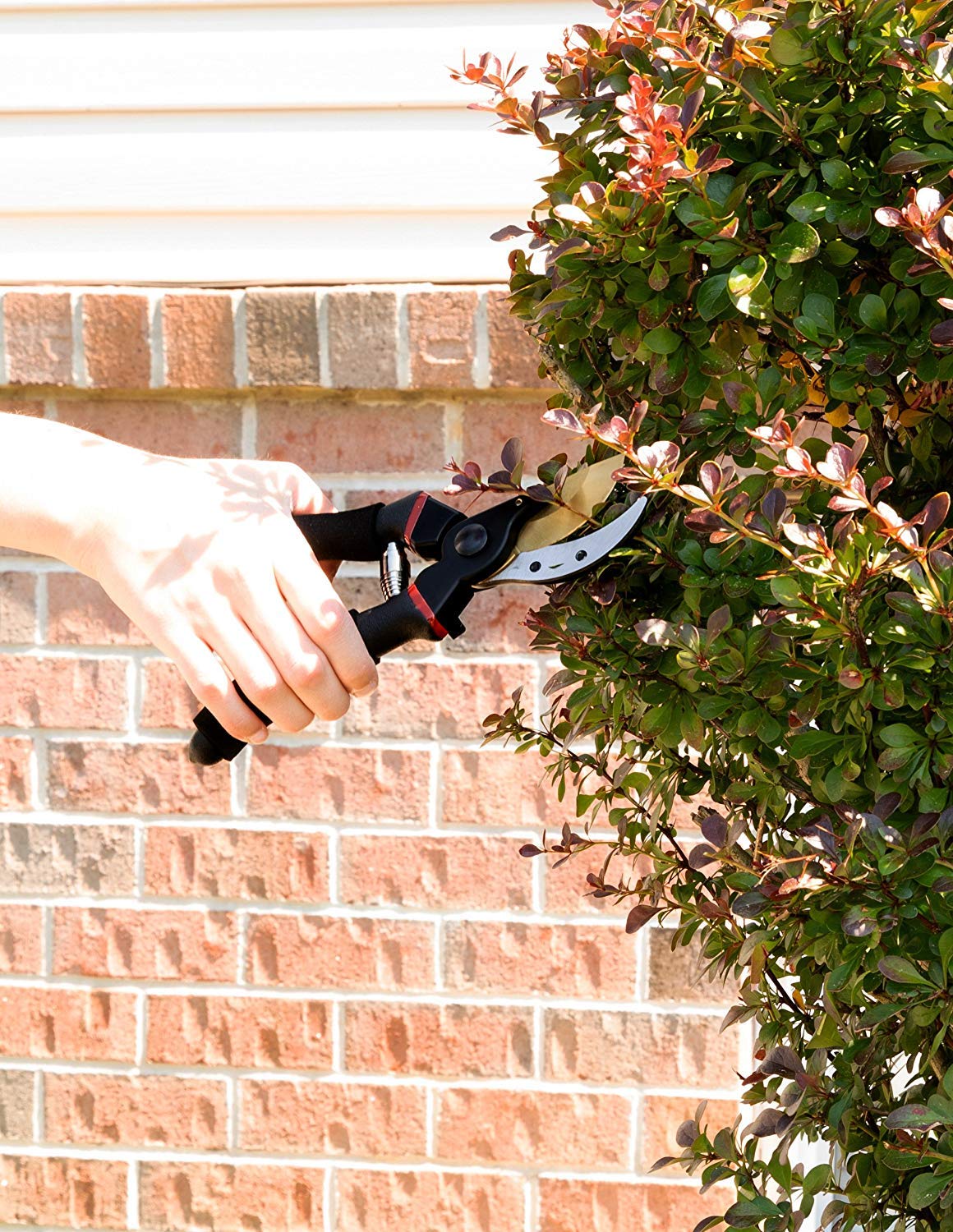 SEEYC Professional 8 inches Premium Titanium Bypass Pruning Shears, Premium Utility Garden Clippers Scissors Sponge Handle Protector,Tree Trimmers Secateurs Hand Pruners