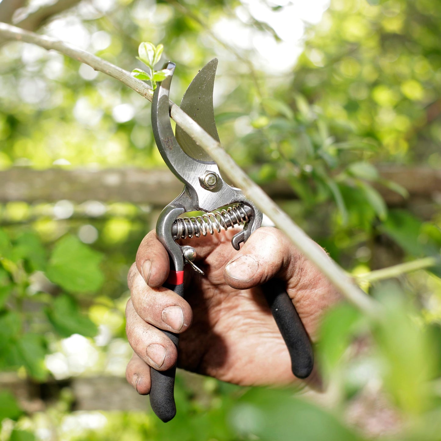 Spear & Jackson CUTTINGSET8 Traditional Bypass and Anvil Secateurs Set, Black