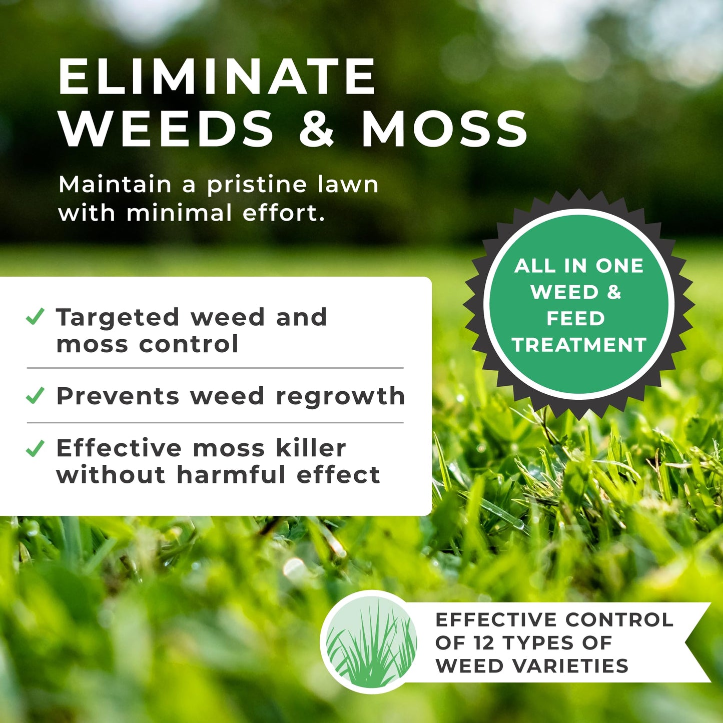 Grow Chem Complete Lawn Fertiliser (1KG Bucket) – Lawn Feed, Weed & Moss Killer - (Treats 32m Sq) - Stronger Turf & Greener Grass - All in One Lawn Treatment with Iron, Dicamba & Mecoprop-P