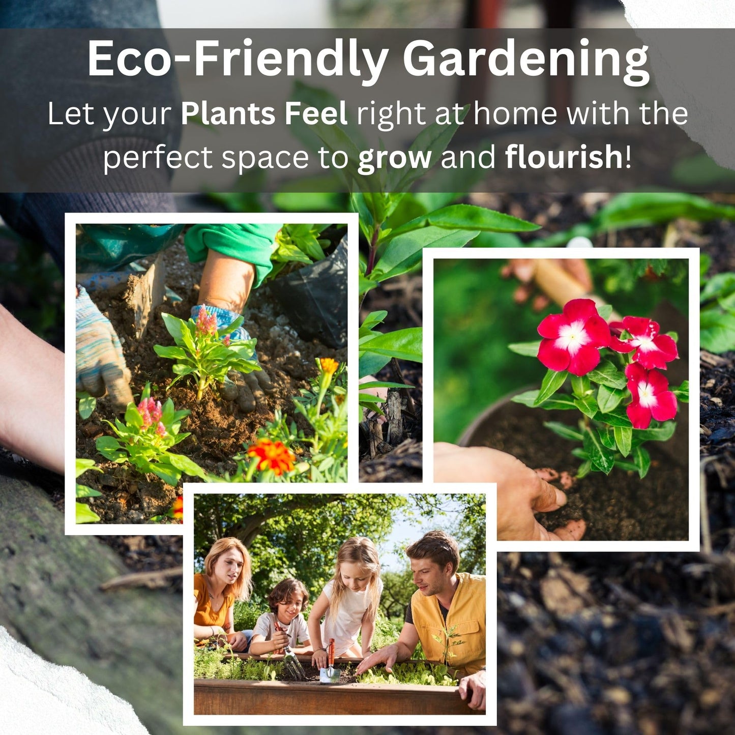 9cm Plastic Plant Pots Black Square (Pack of 50) – Ideal for Plants, Perennials, and Herbs (Pack of 50 Pots)