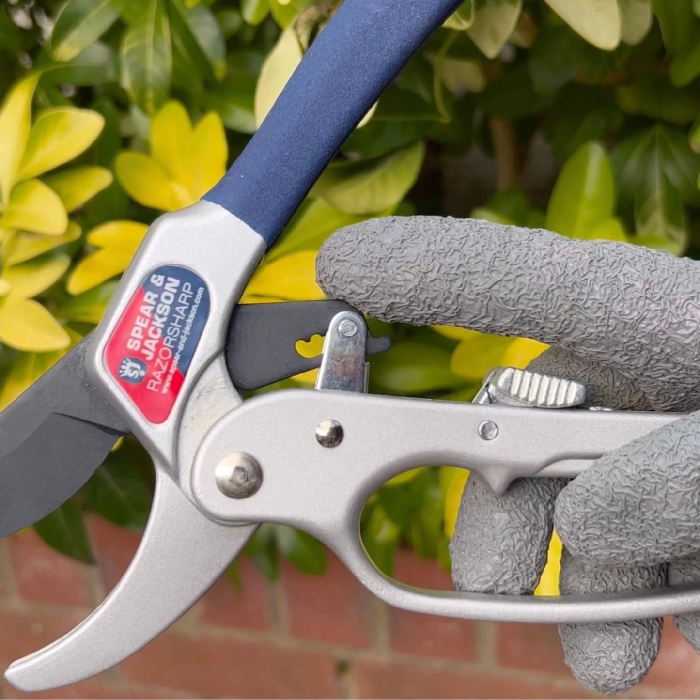 Spear & Jackson 6358RS Razorsharp Ratchet Anvil Secateurs, Silver