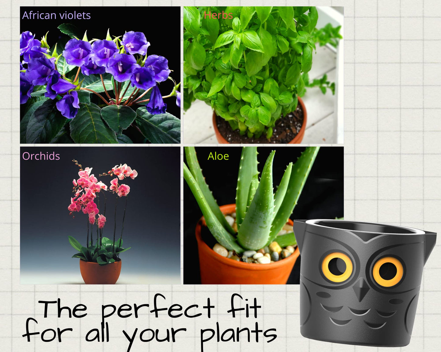 GVG Self Watering Pots Owl Pot Smart Well Aerating High Drainage Animal Planter Black Halloween Pot Large Plastic Plant 25cm Ideal Many Flowers African Violets Orchid Lily