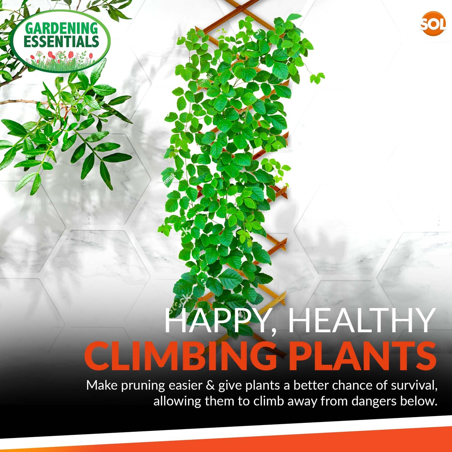 SOL 3pk Garden Trellis for Climbing Plants, 150cm x 30cm Expanding Garden Trellis for Fences, Walls & Planters, Durable Support, Withstand Weather Conditions, Ideal for Landscape & Decorations