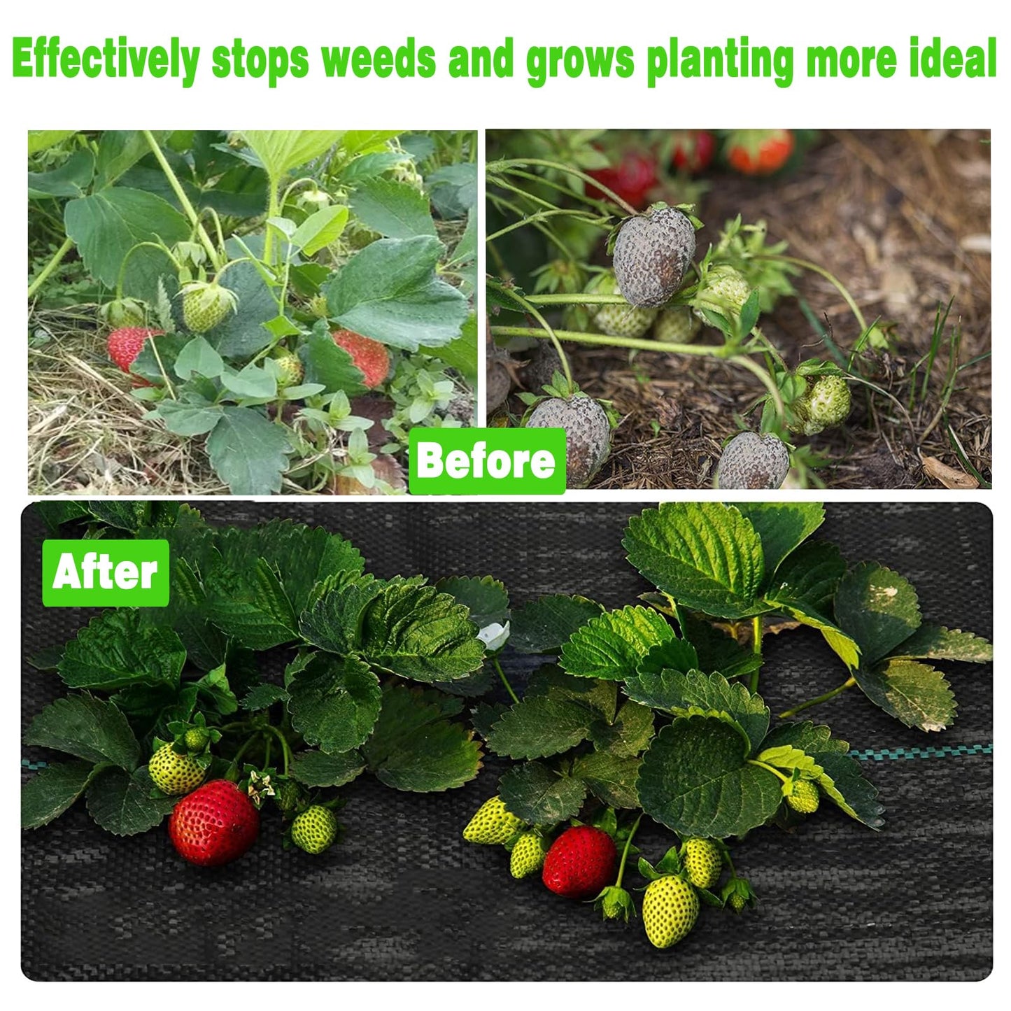 Aoriyar Weed Control Membrane Fabric for Garden - 1M x 10M Black Heavy Duty Ground Cover Membrane Roll Permeable Weeds Suppressant Sheet Gravel Barrier Matting Breathable Landscape Covering Fabric