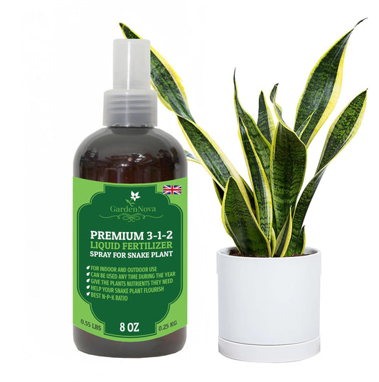 Proffesional Snake Plant Spray Fertilizer Mist for Home Gardening | 3-1-2 Gentle Blend Mist for Healthy Leaves & Growth | Essential Nutrients for Snake Plants - 8oz