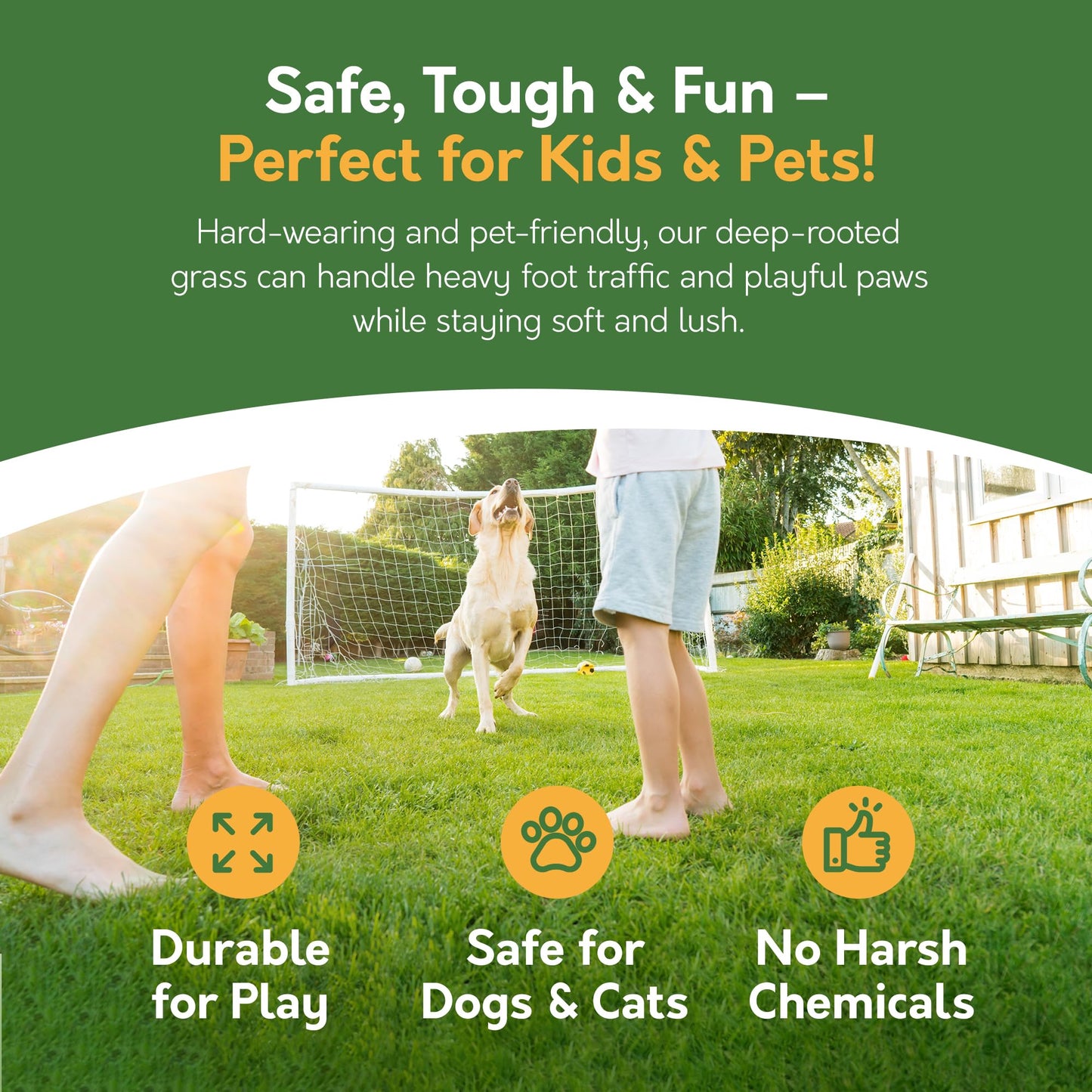 Pronto Seed Premium Grass Seed 1.4 kg - Fast Growing, Hard-Wearing - Covers 84m² for Lawns & Overseeding - DEFRA Approved & Tailored for UK Climate (1.4kg)