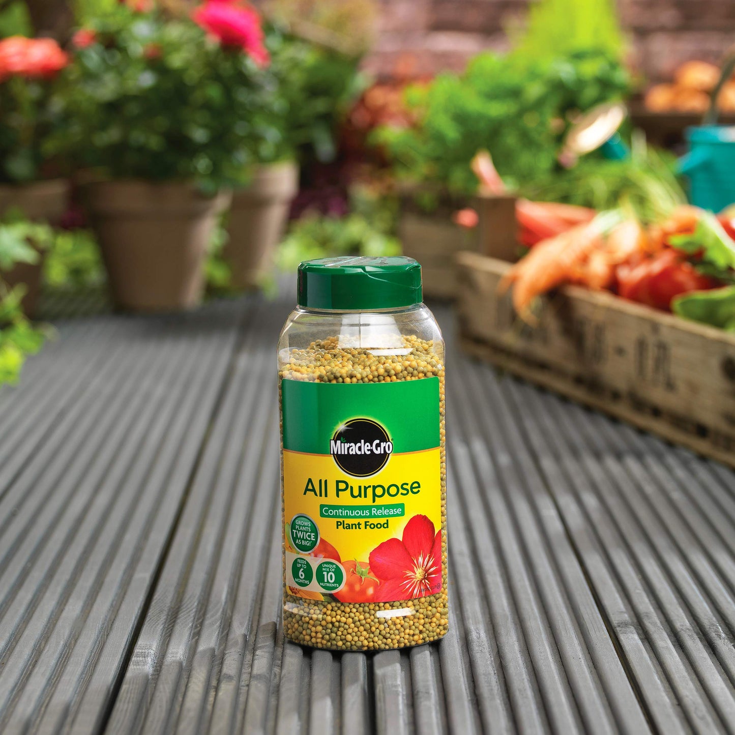 Miracle-Gro 17684 All Purpose Continuous Release Plant Food 1 kg, Green, Brown