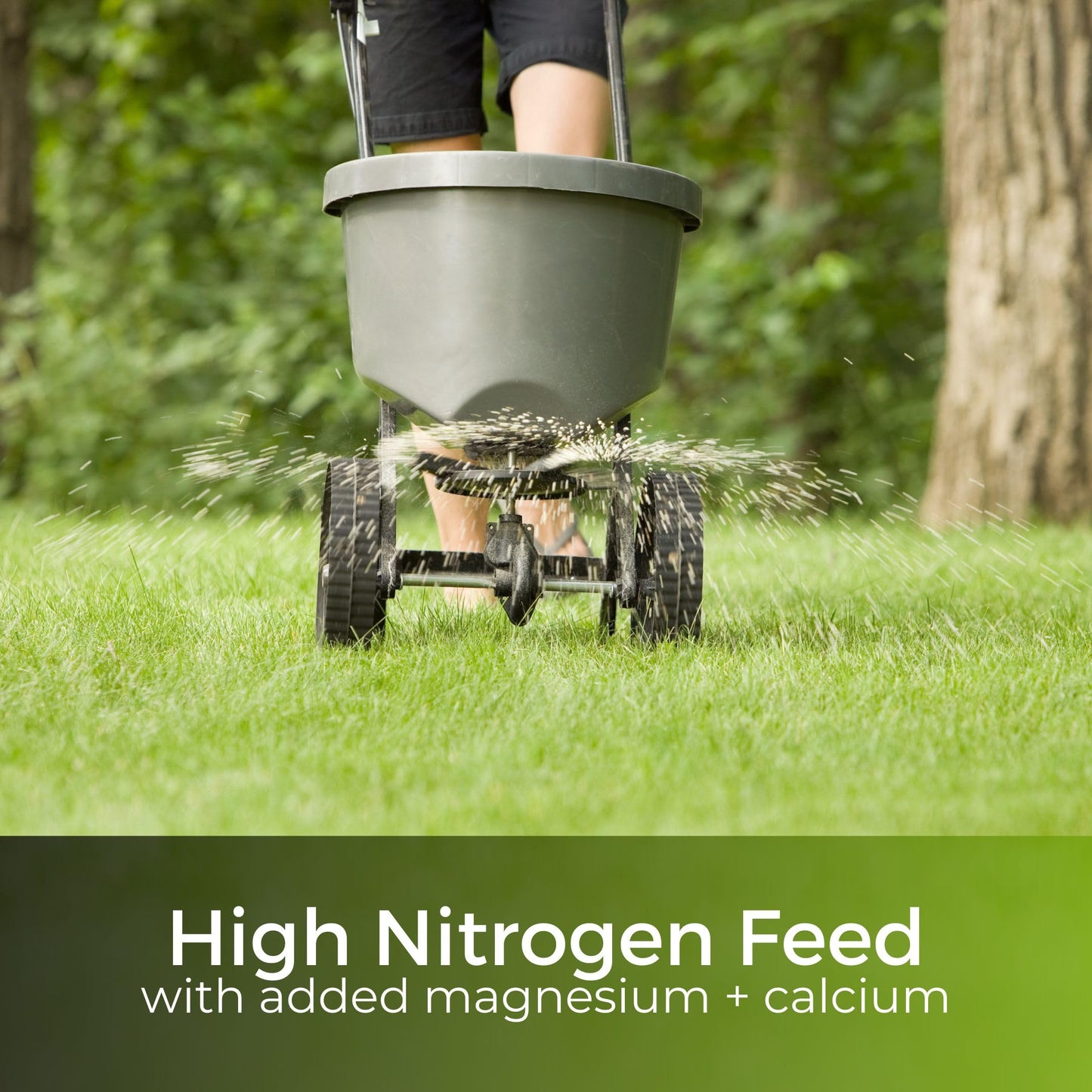 Dark Green Lawn Fertiliser - High in Nitrogen Greens Grass Fast - Feeds up to 90 Days - Child and Pet Friendly - Garden Lawncare Guy