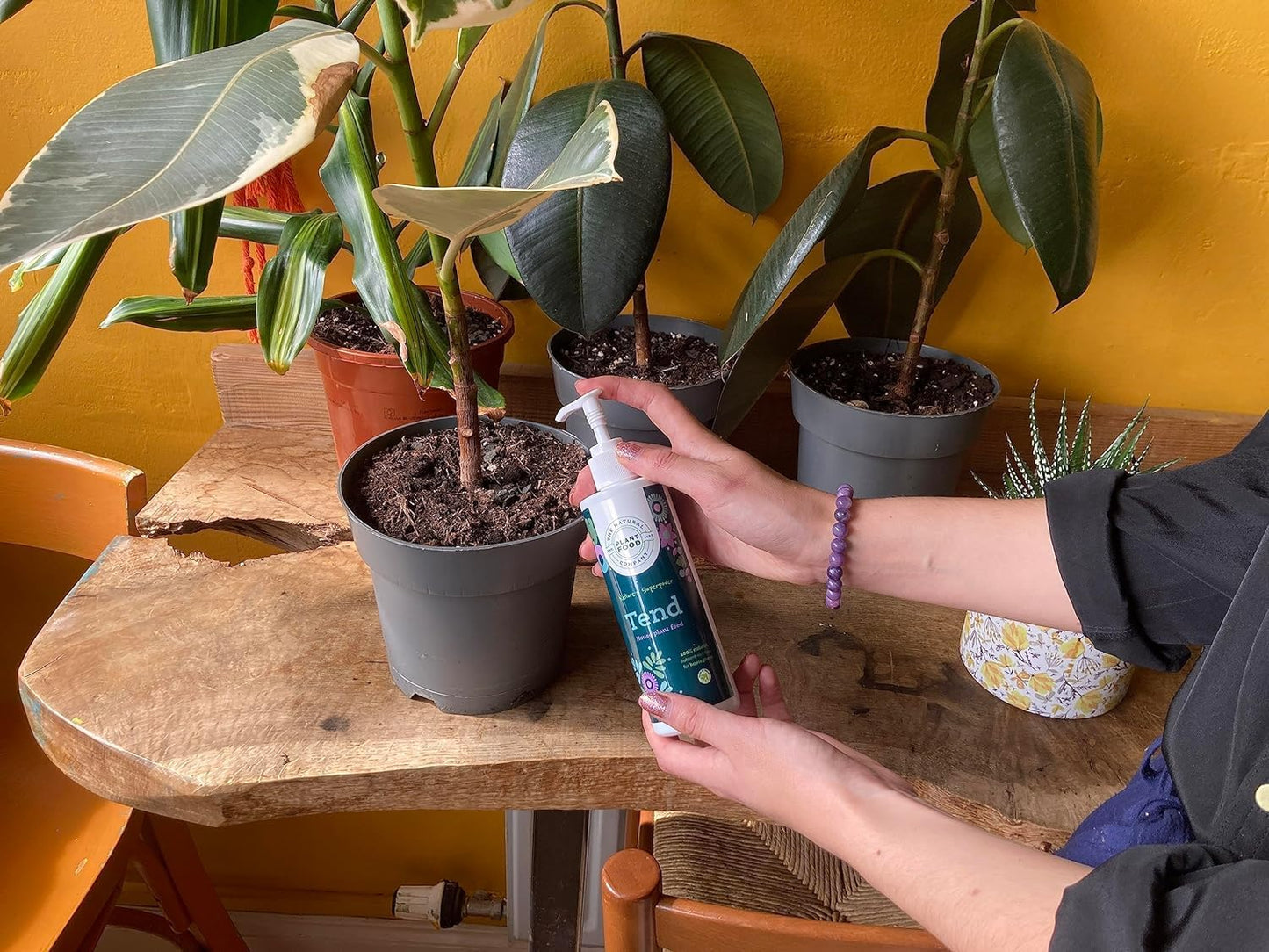 The Natural Plant Food Company | Tend House Plant Feed - 100% Natural Indoor Plant Food - With Essential Nutrients - Pet & Wildlife Friendly - Free from Peat & Synthetic Chemicals - 250ml