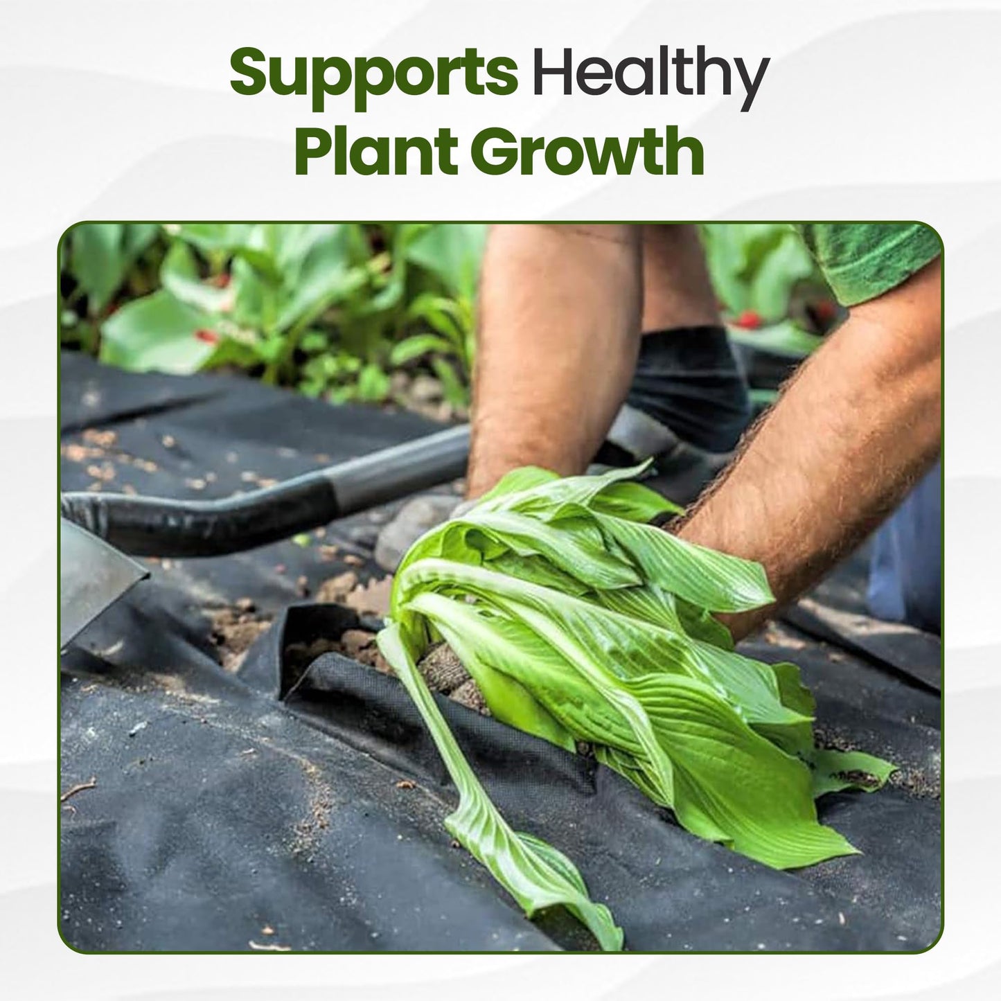 Albert Austin Weed Control Membrane Durable Weed Barrier Fabric UV Stabilised Weed Barrier Breathable Customisable Garden Membrane Roll for Pathways Flower Beds and Vegetable Gardens (25m x 1m)