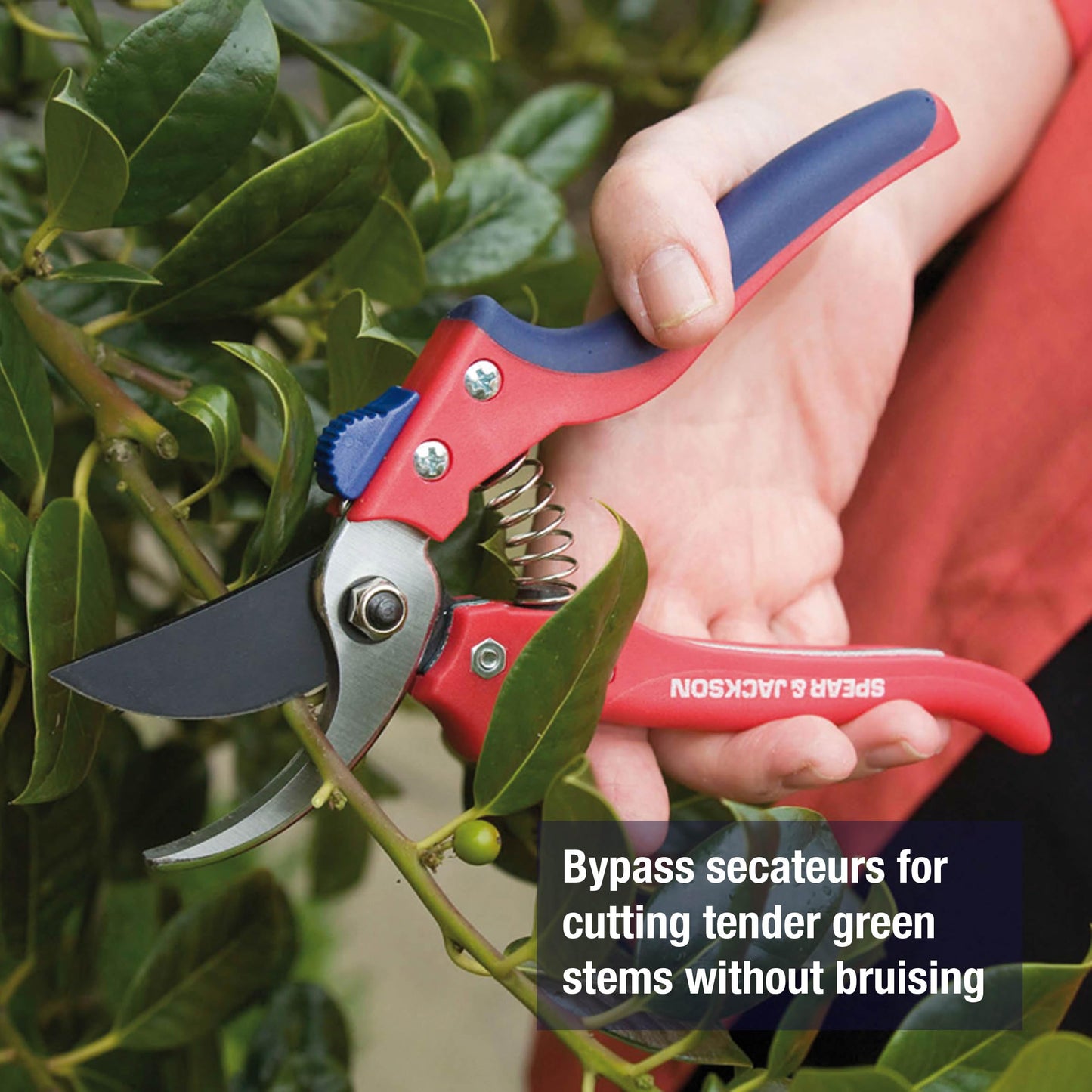 Spear & Jackson 7159BS Razorsharp Advantage Bypass Secateurs