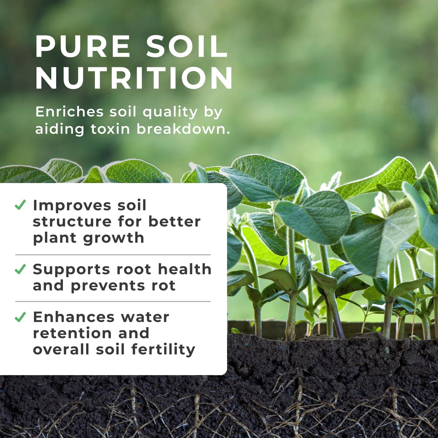 Grow Chem Fish, Blood & Bone Fertiliser (1KG Bucket) Multi-Purpose – Organic Fertiliser for Plants & Lawns – Nutrient-Packed, Easy-Apply Plant Food for Strong Healthy Produce, Flowers & Lawns