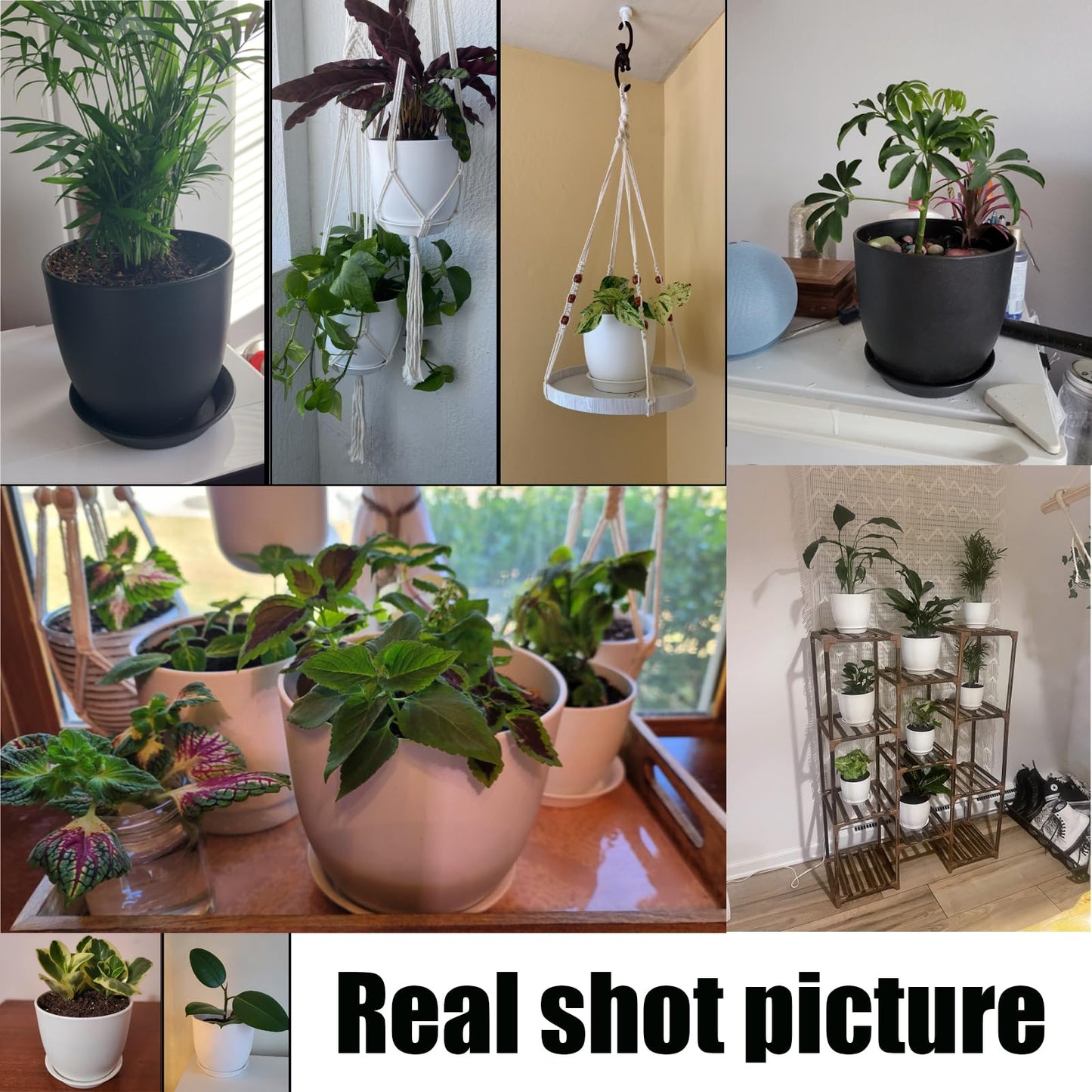 PROFIKLA 20cm, 18cm, 16cm Plastic Plant Pots, Plant Pots with Drainage Holes and Saucers, A Set of 3 Flower Pots, Modern Decorative Planters, Black