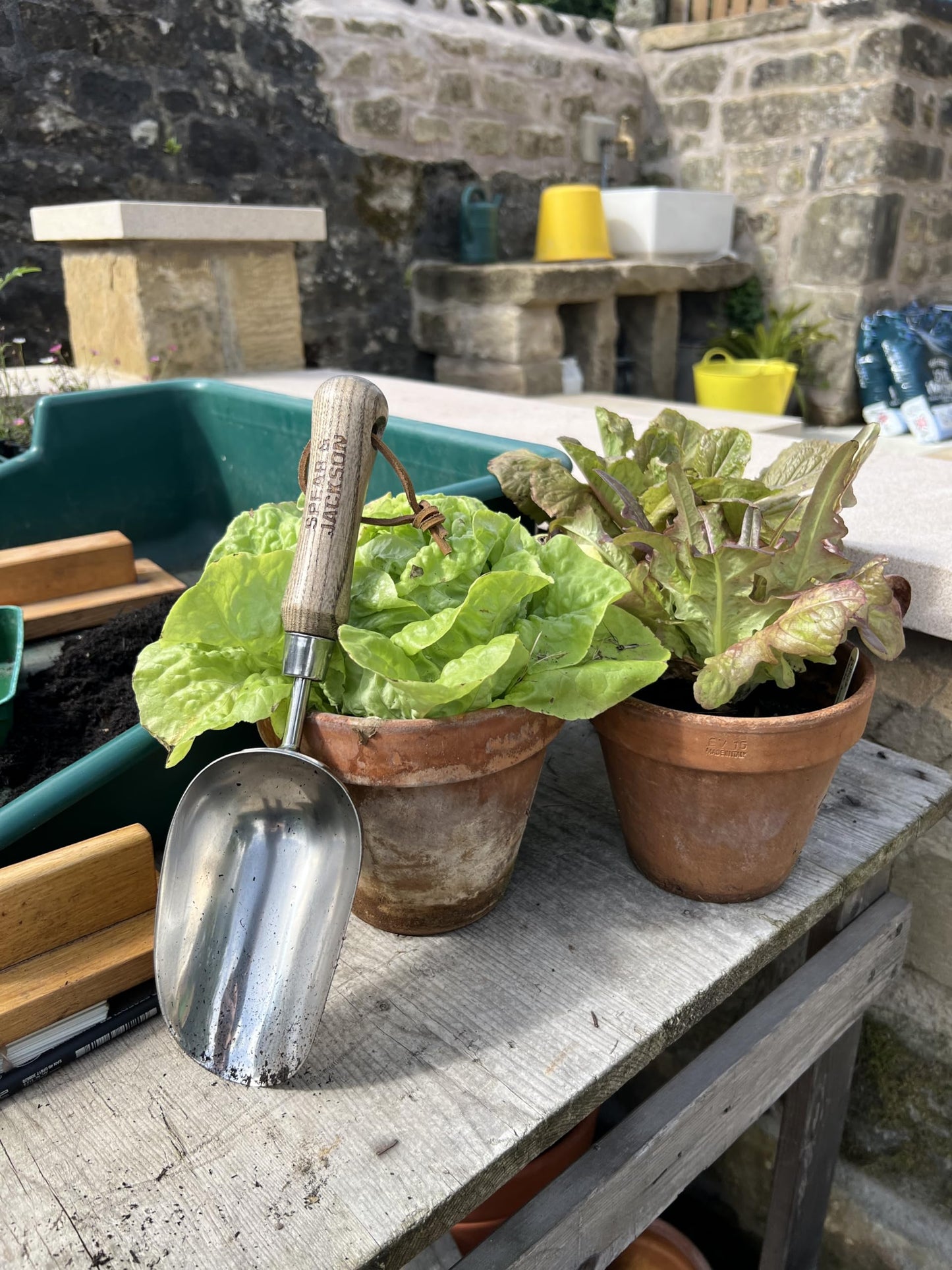 Spear and Jackson 5060SS Traditional Soil Scoop