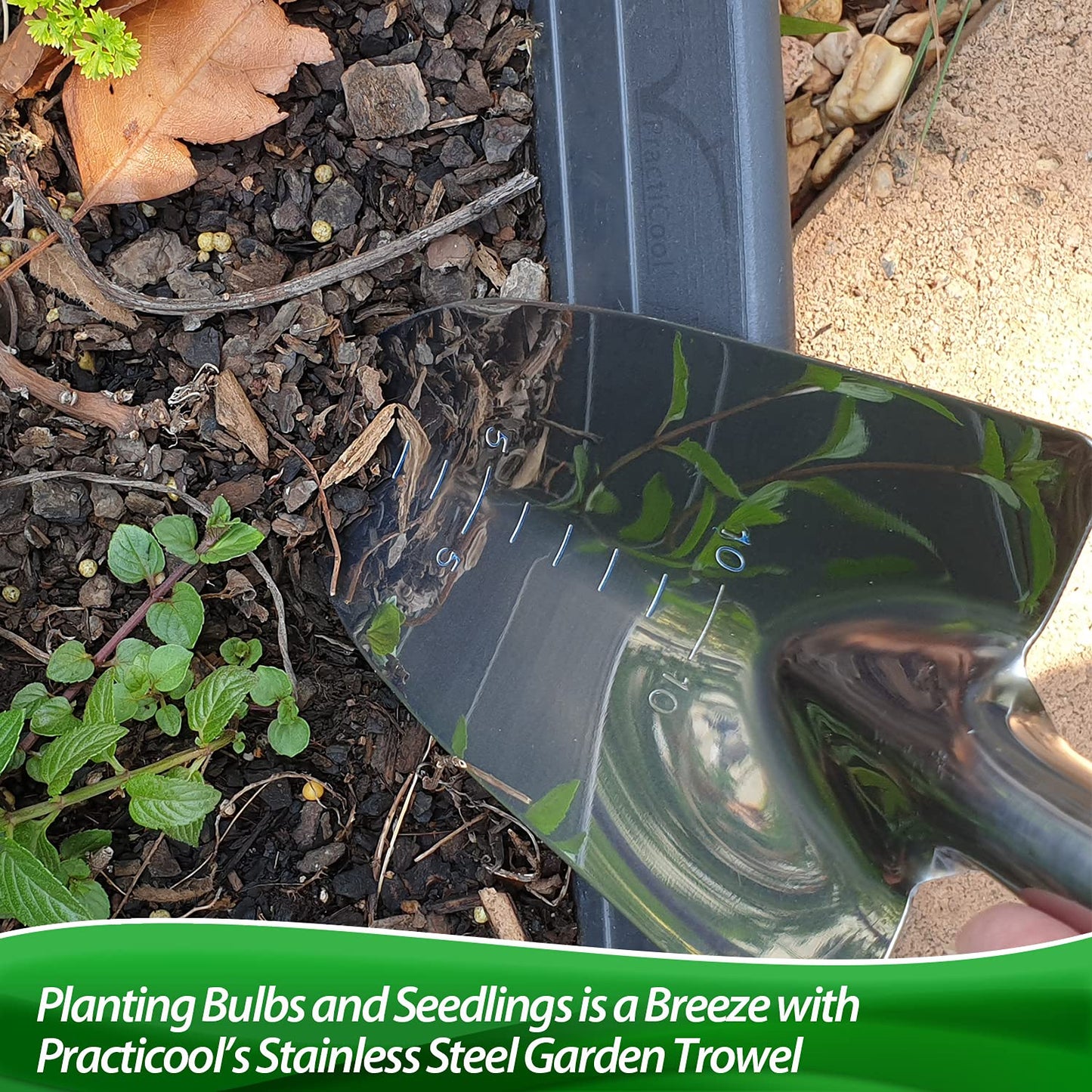 Practicool Garden Hand Transplanter Trowel Hand Spade Shovel - Stainless Steel – with Measurements, Ideal for potting, transplanting, planting seeds and Bonsai