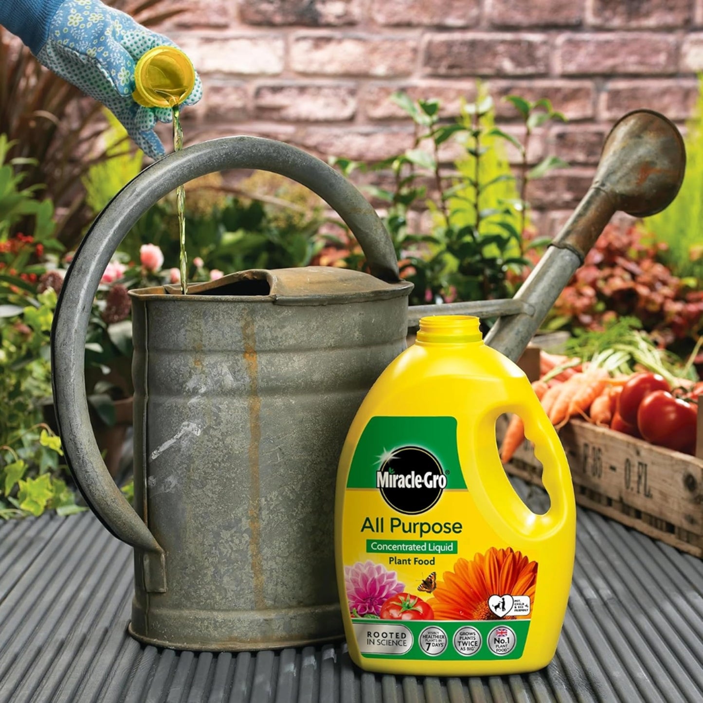 Miracle Grow Plant Food Fertiliser - All Purpose 2.5L Plant Feed Concentrated Liquid with Topline Card. Child & Pet Friendly Garden Fertilizer for Outdoor & Indoor House Plants, Vegetables