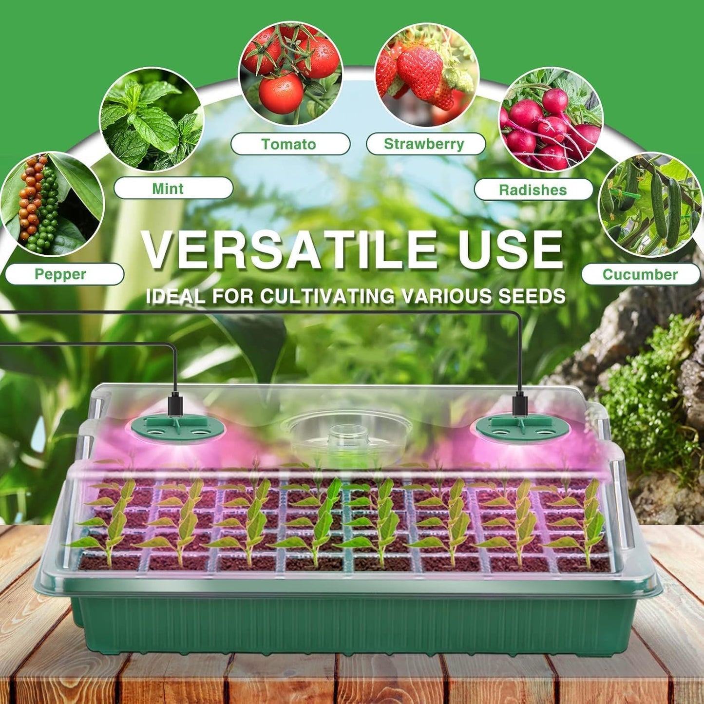 YAUNGEL Seed Trays with Grow Light, Thicken Propagator XL Seedling Starter with Timing Controller Adjustable Brightness, Growing Trays with Humidity Vented Domes and Base, Gift Box