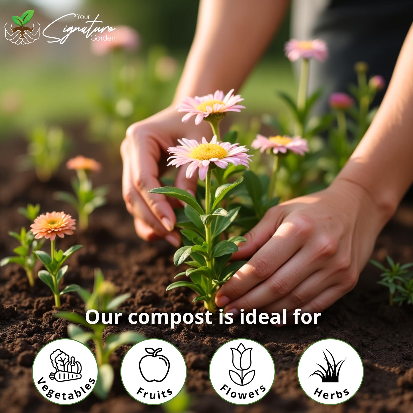 Laeto Multi Purpose Compost - Premium Potting Compost for Healthy Growth Top-Grade Potting Soil Peat Free for Flowers, Vegetables & Plants 100 Litre Bag
