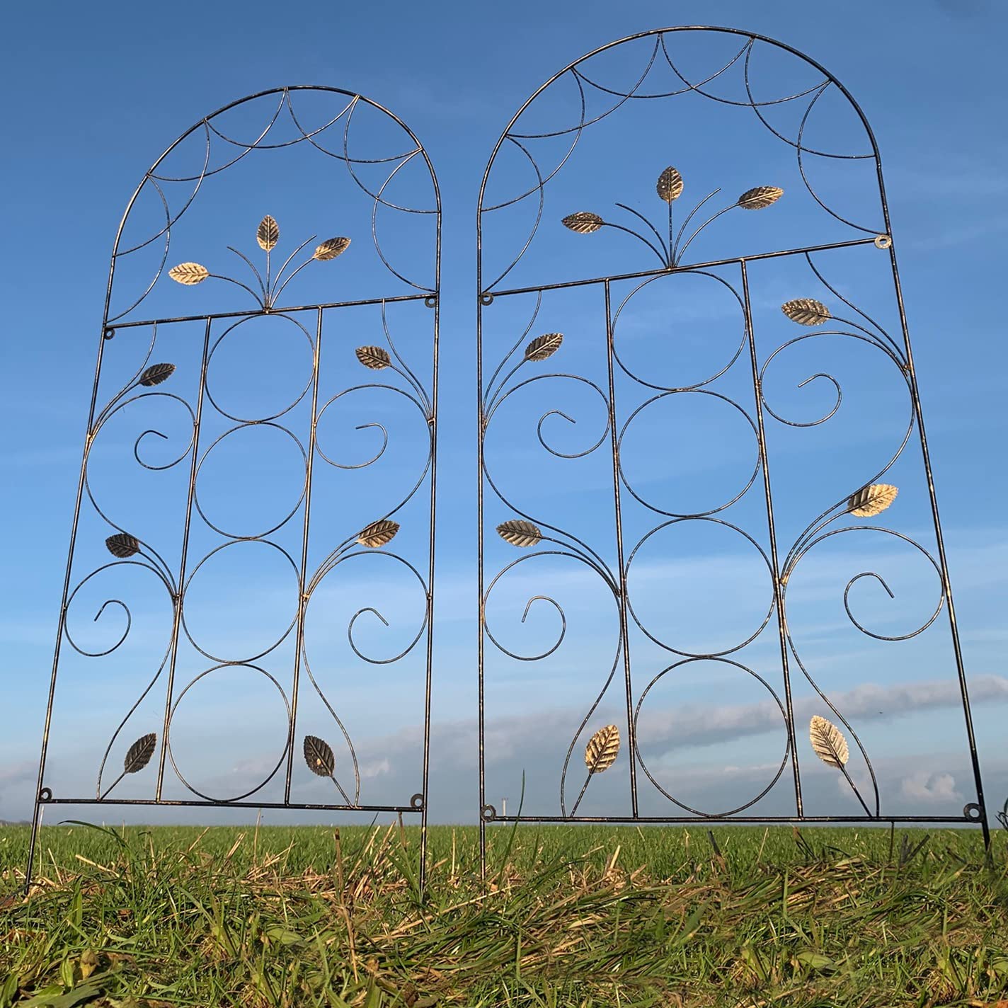 Selections Pack of 2 x Leaf Design Metal Garden Trellis (120 x 50 Centimeter)