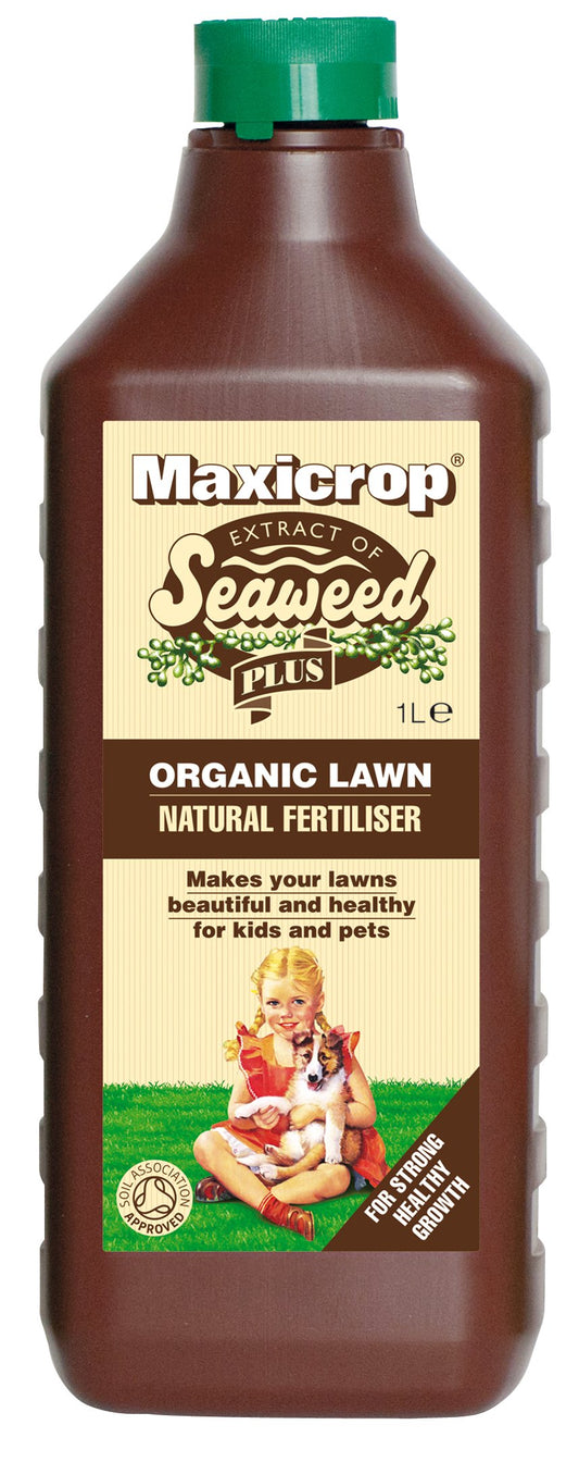 Maxicrop XOLNF61L Organic Lawn Natural Fertiliser, 1L - Natural Organic Lawn Fertiliser - with Seaweed Extract - for Strong Growth and Healthy Root Development - Lawn Nutrition - Garden Care, Brown