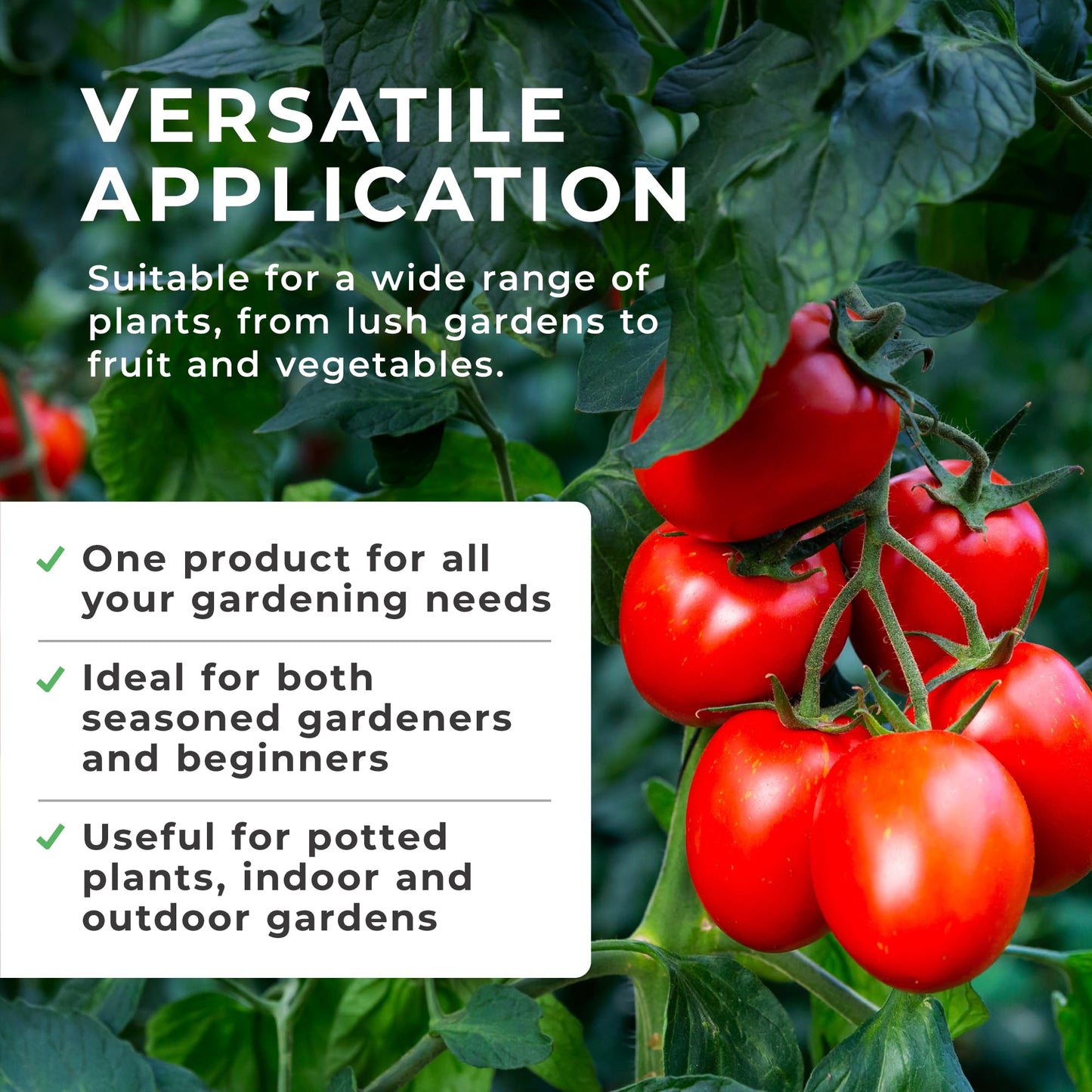 Grow Chem Growmore Fertiliser (5KG Bucket) Multi-Purpose Plant Food Granules – NPK 7-7-7 Nourishes Plants with Essential Nutrients – Suitable for All Plant Types – Garden Fertiliser