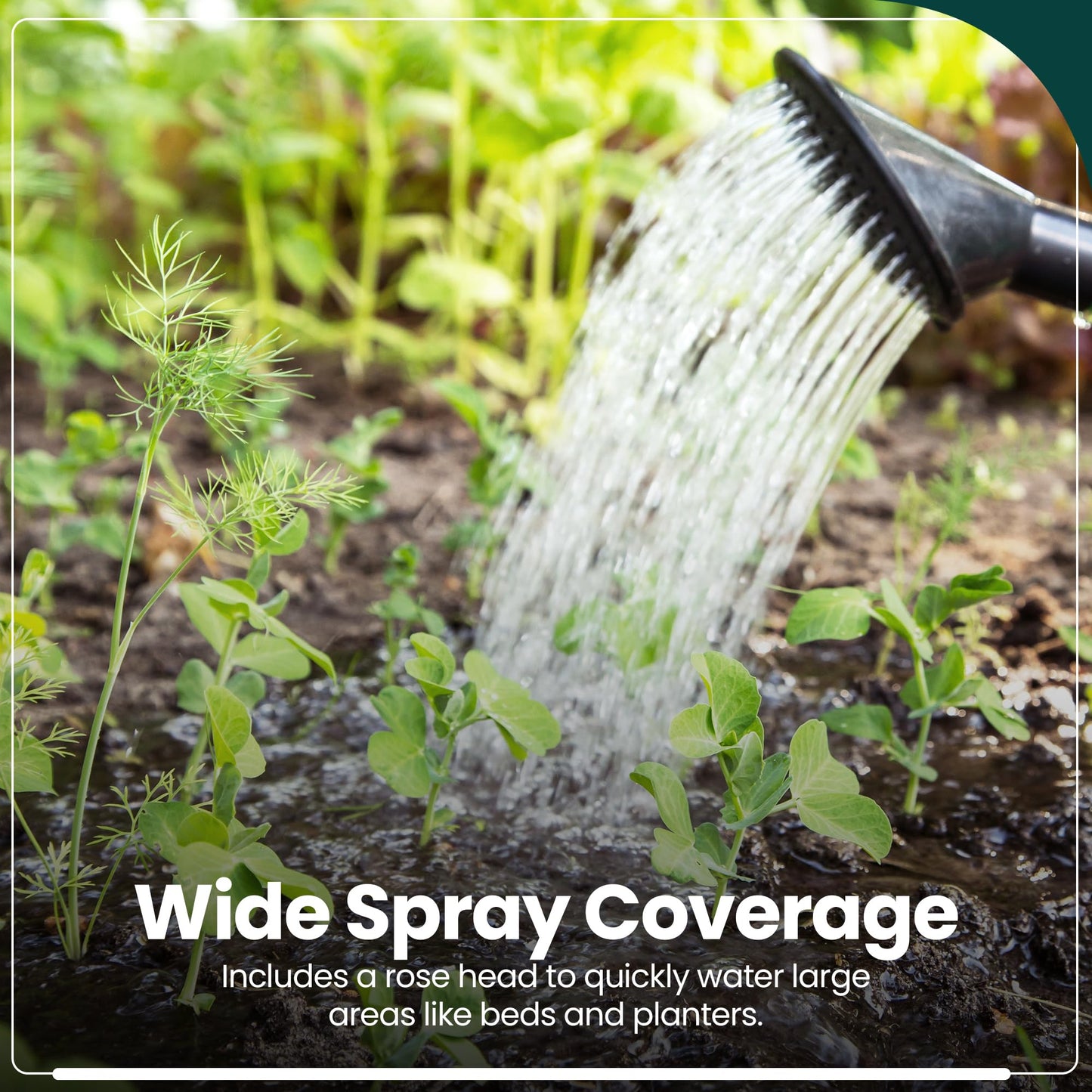 Hardys 10L Green Rose Watering Can - Outdoor & Indoor Watering Can with Detachable Sprinkler Rose Head, Long Spout Water Can for Houseplant & Garden Plants