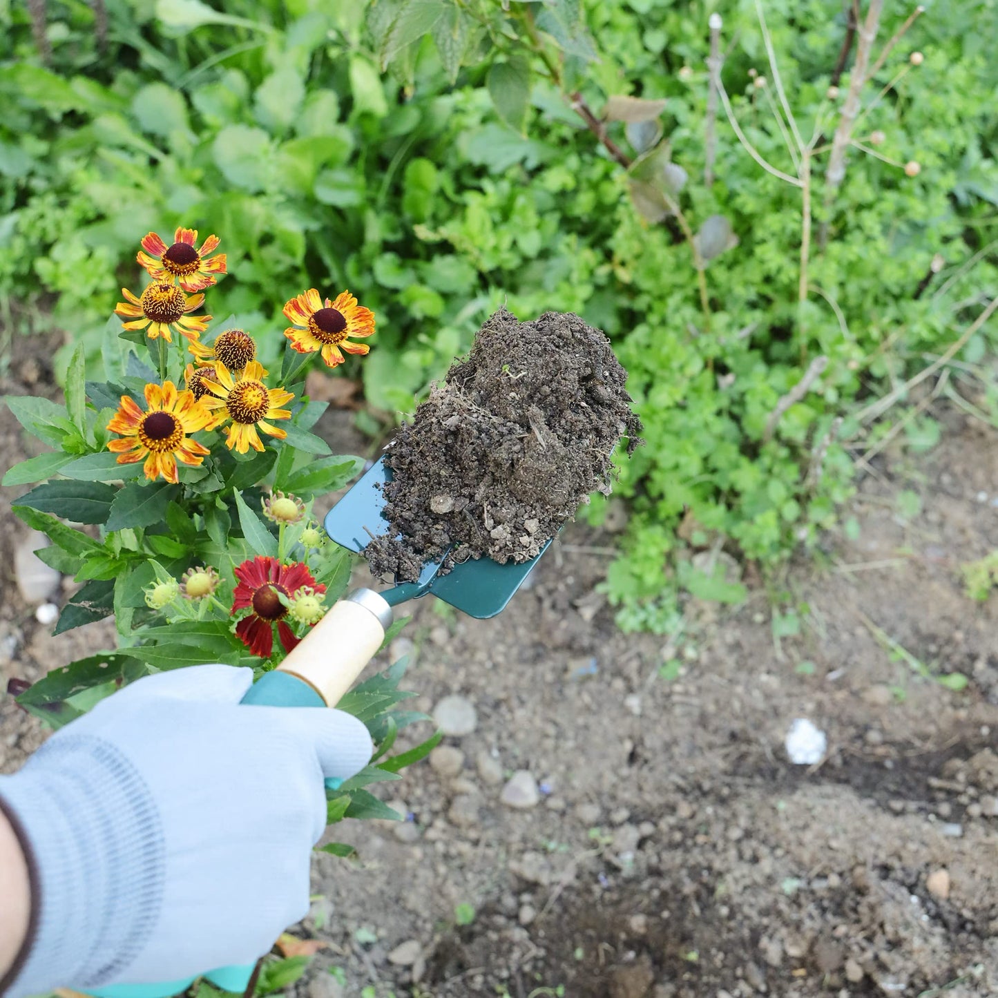 Garden Hand Trowel with Wooden Ergonomic Non-Slip Grip Handle 26.5cm x 7cm x 3cm, Ideal for Adults and All Gardening Jobs (Metal Garden Hand Trowel)