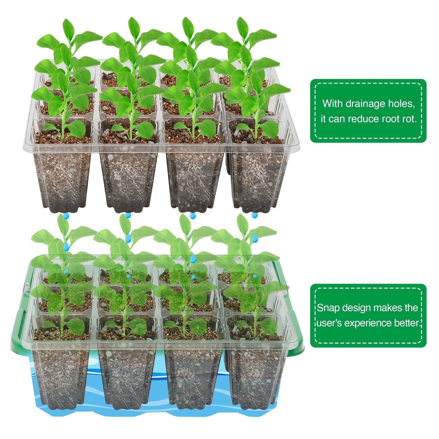 MIXC Seed Trays with Grow Light, 5 Pack Seed Trays with Lids, Propagators for Plants with Adjustable Lids and Clear Cell Tray, Propagator with 8 Full Spectrum Led Lamp Beads, For Indoor Plants, Green