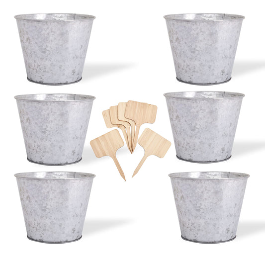 Katai Galvanised Metal Planter Buckets - 6 Pack Small Metal Buckets for Indoor Plants, Herb Garden, Orchid Pots, Hanging Plant Holder, Flower Pots, Wall Planters, Garden Decor - with 6 Plant Labels