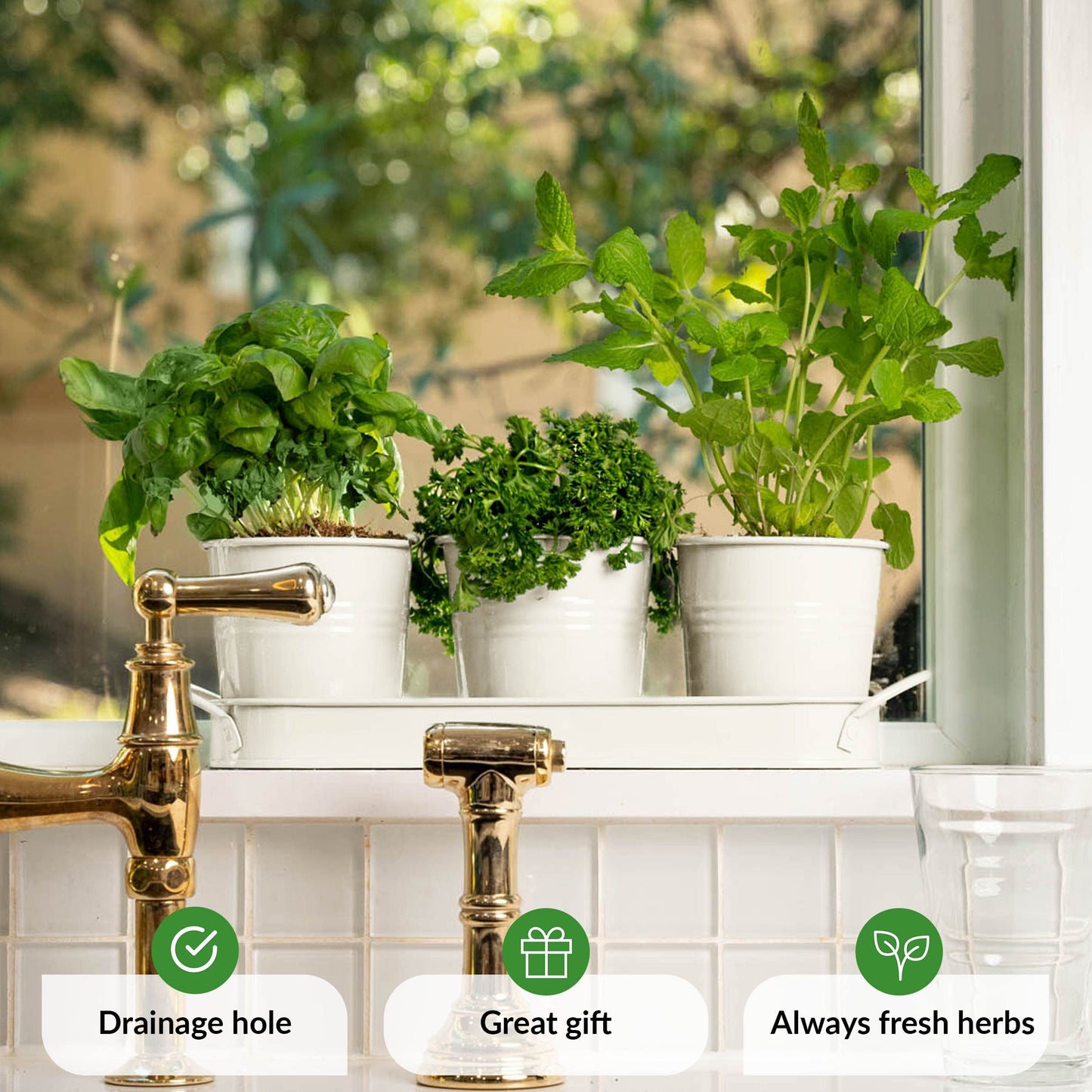 Herb Planter Indoor | Grow Fresh Herbs At Home | Herb Pots for Kitchen & Windowsill | Kitchen Herb Garden | Indoor Herb Planter | Includes Drain Hole | Garden Pots for Basil, Mint, Parsley and More