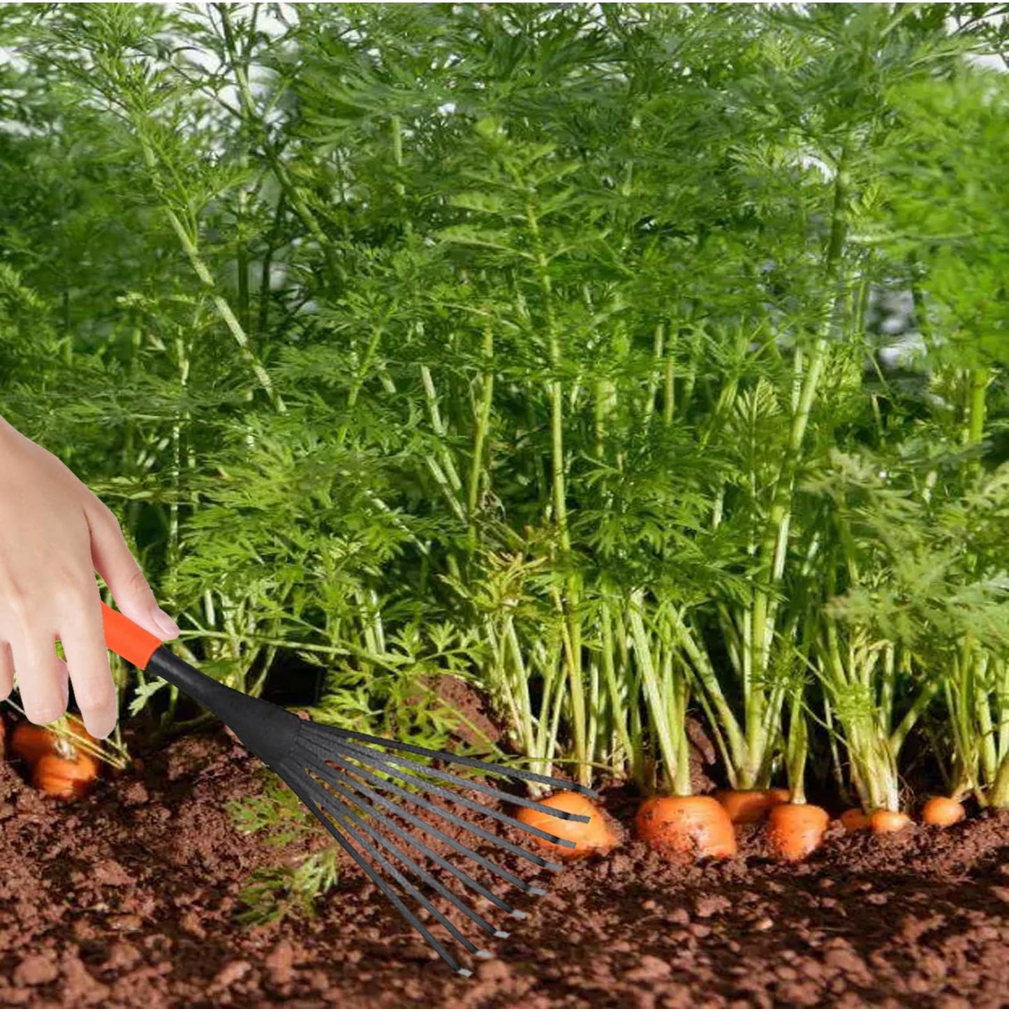 Garden Rake,Hand Rake,Rake for Gardening,Mini Grass Rake,Horse Poo Picker,Durable, Long-Lasting Gardening Tool