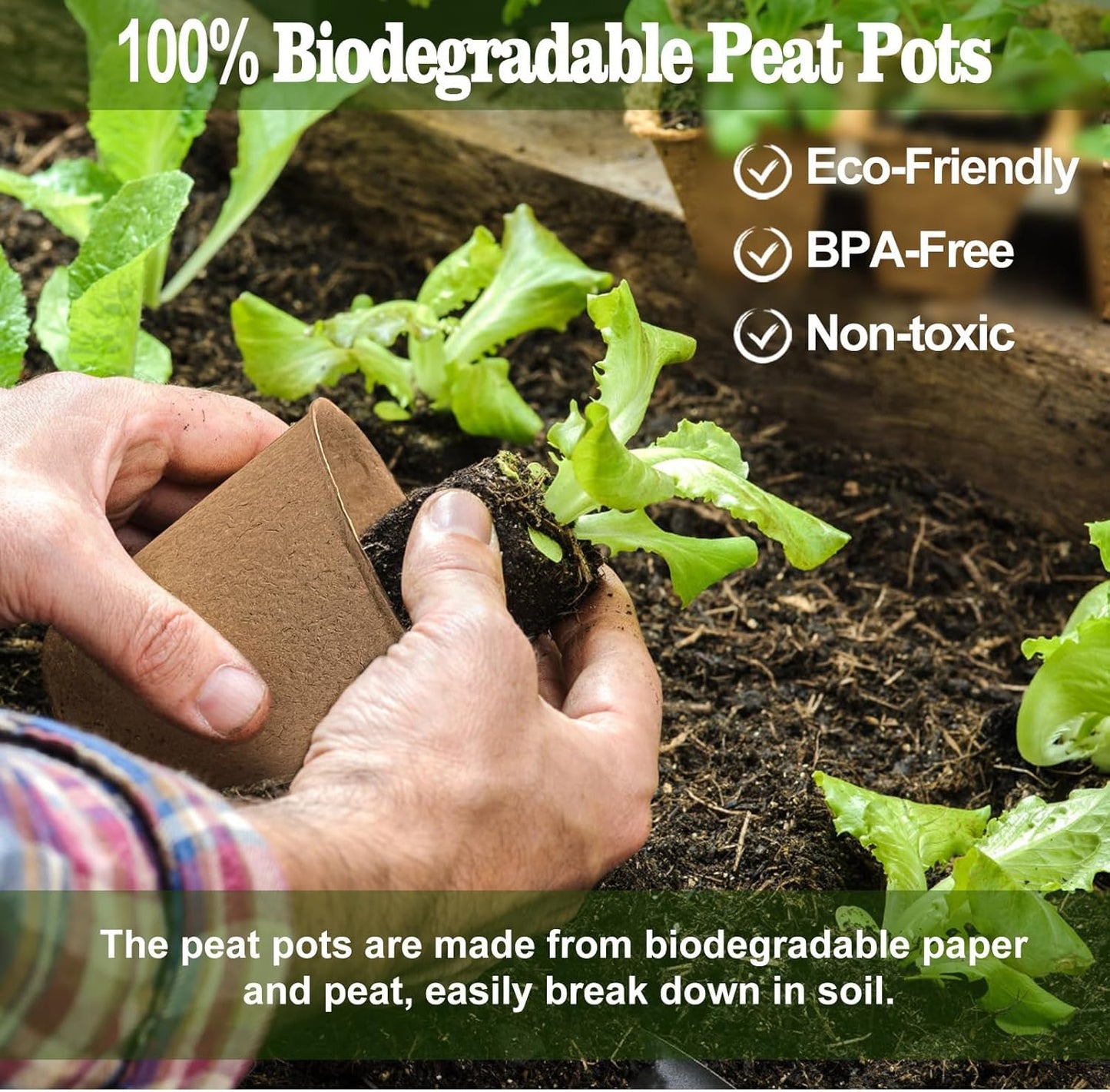 LATERN 100Pcs 8CM Biodegradable Fibre Seed Pots for Seedling and Transplanting with 100Pcs Plastic Plant labels (White 5cm x1cm)