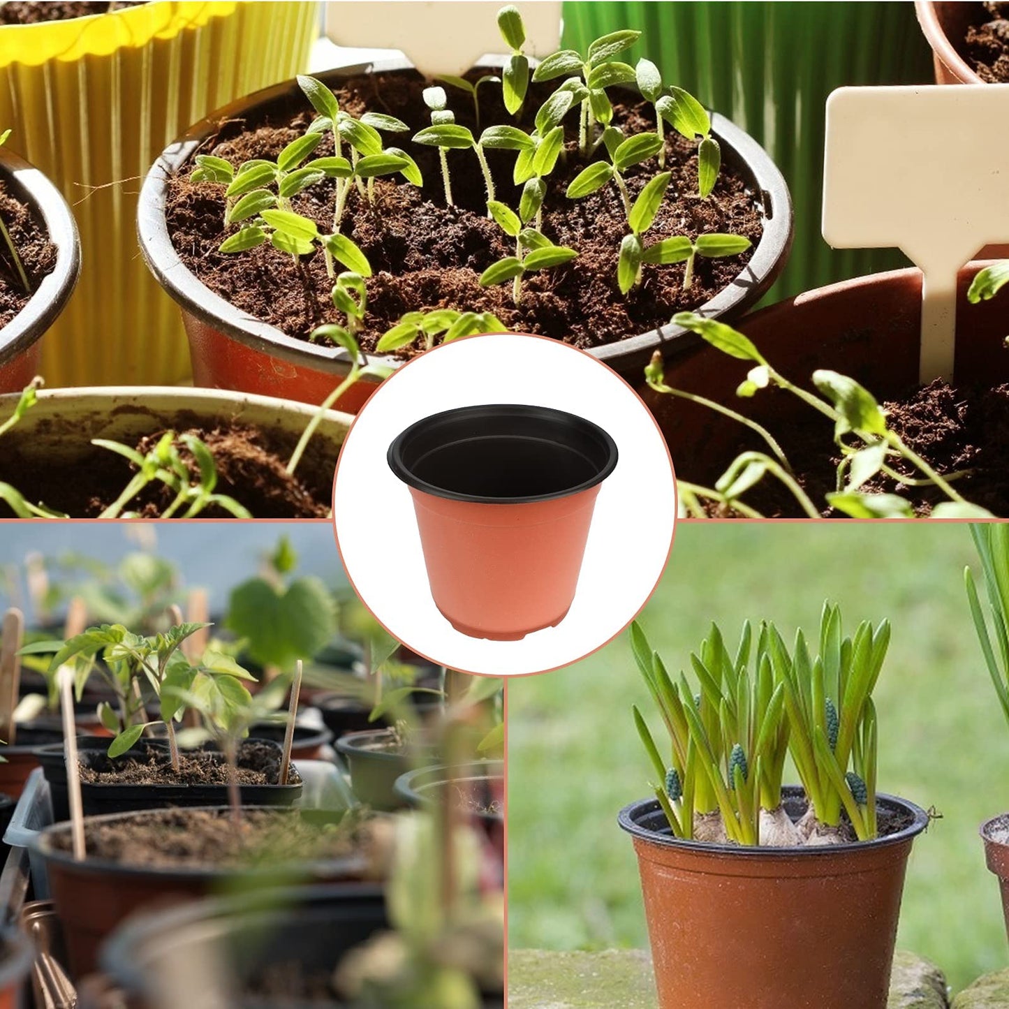 KINGLAKE 100Pcs Plastic Plant Pots 10cm Seed Seedling Pots Flower Nursery Pots for Vegetables,Flowers,Herbs,Cuttings, Succulent