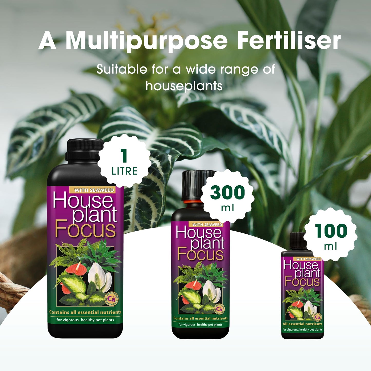 Houseplant Focus Liquid Concentrated Fertiliser, 100ml - Growth Technology Fertiliser for Indoor Plants - Professional Grade House Plant Food