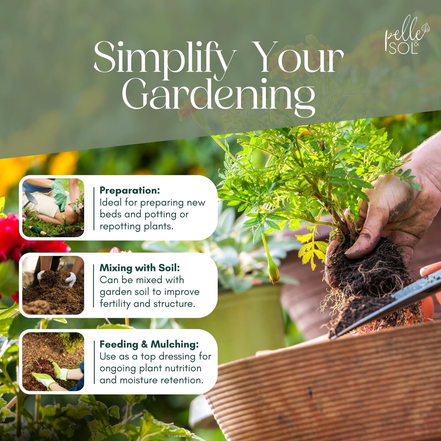 Pelle & Sol 60L Multi-Purpose Compost Soil - Potting Mix – Indoor Plant Soil - Use for Indoor Potting, Growing, Indoor Plants and General Planting Needs