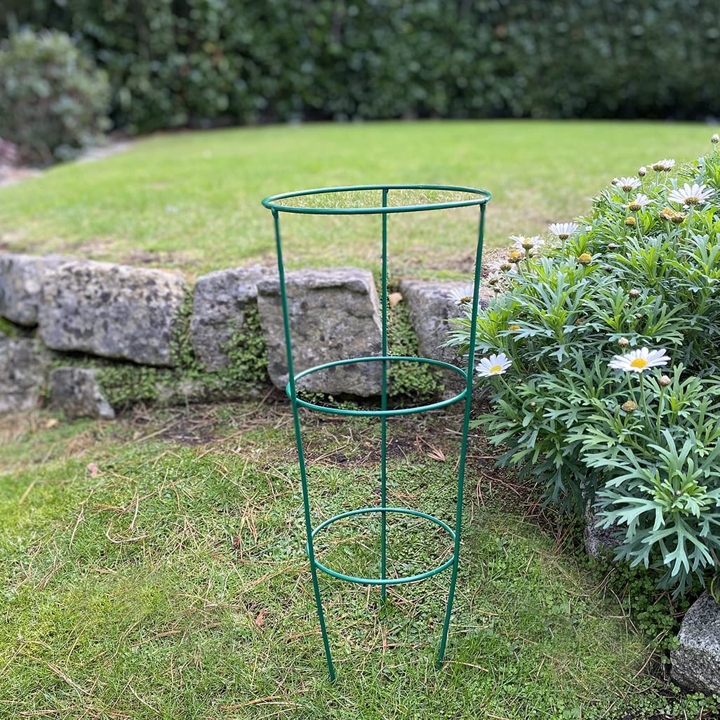 Selections Pack of 5 (48 Centimeter) Conical Garden Plant Support Rings