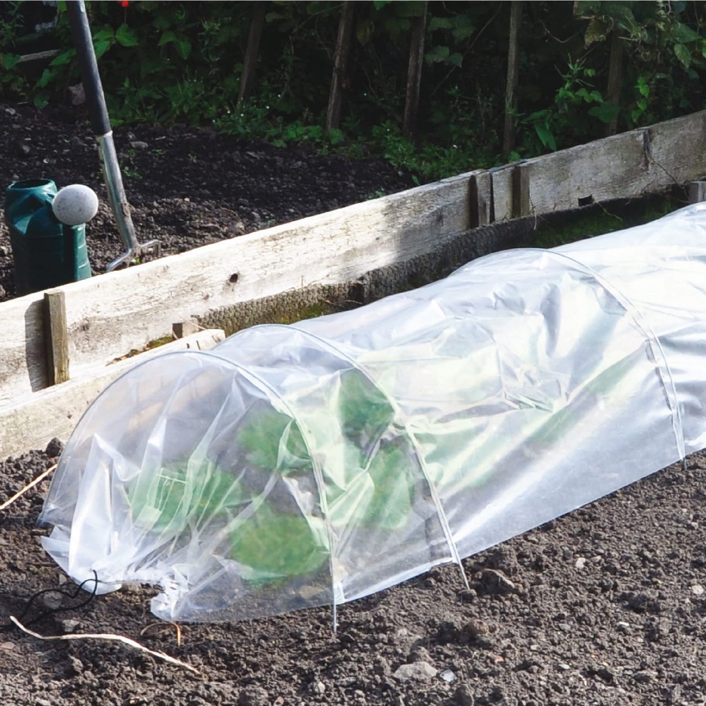 Polytunnel Plant Protector Growing Herbs Vegetables Flowers Greenhouse Tunnel Garden Planting Cloche